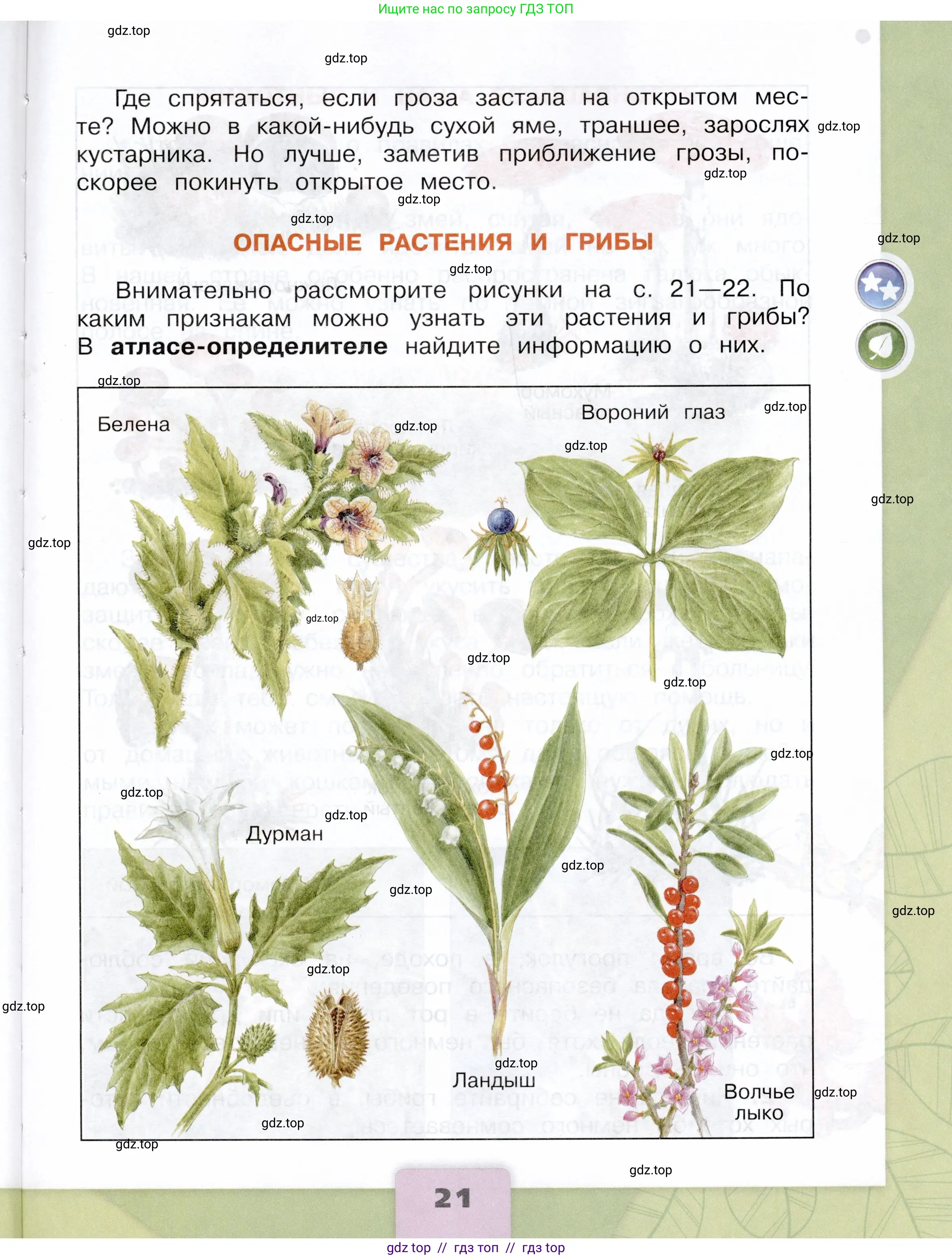 Окружающий мир, 3 класс Учебник, автор: Плешаков Андрей Анатольевич, издательство Просвещение, Москва, 2023, белого цвета, страница 21