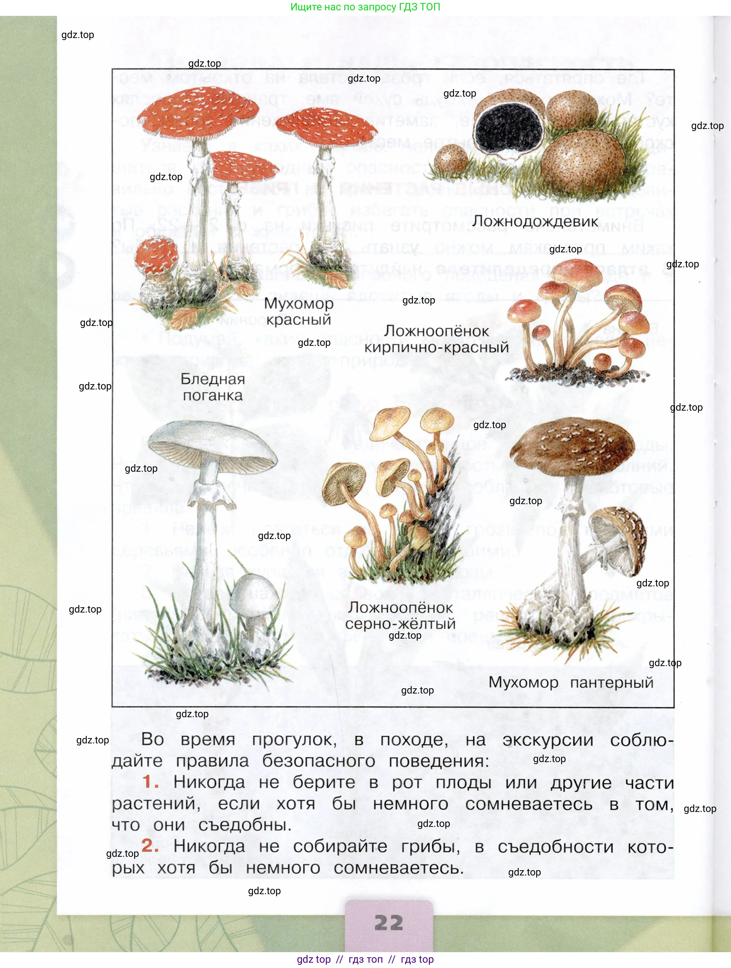 Окружающий мир, 3 класс Учебник, автор: Плешаков Андрей Анатольевич, издательство Просвещение, Москва, 2023, белого цвета, страница 22