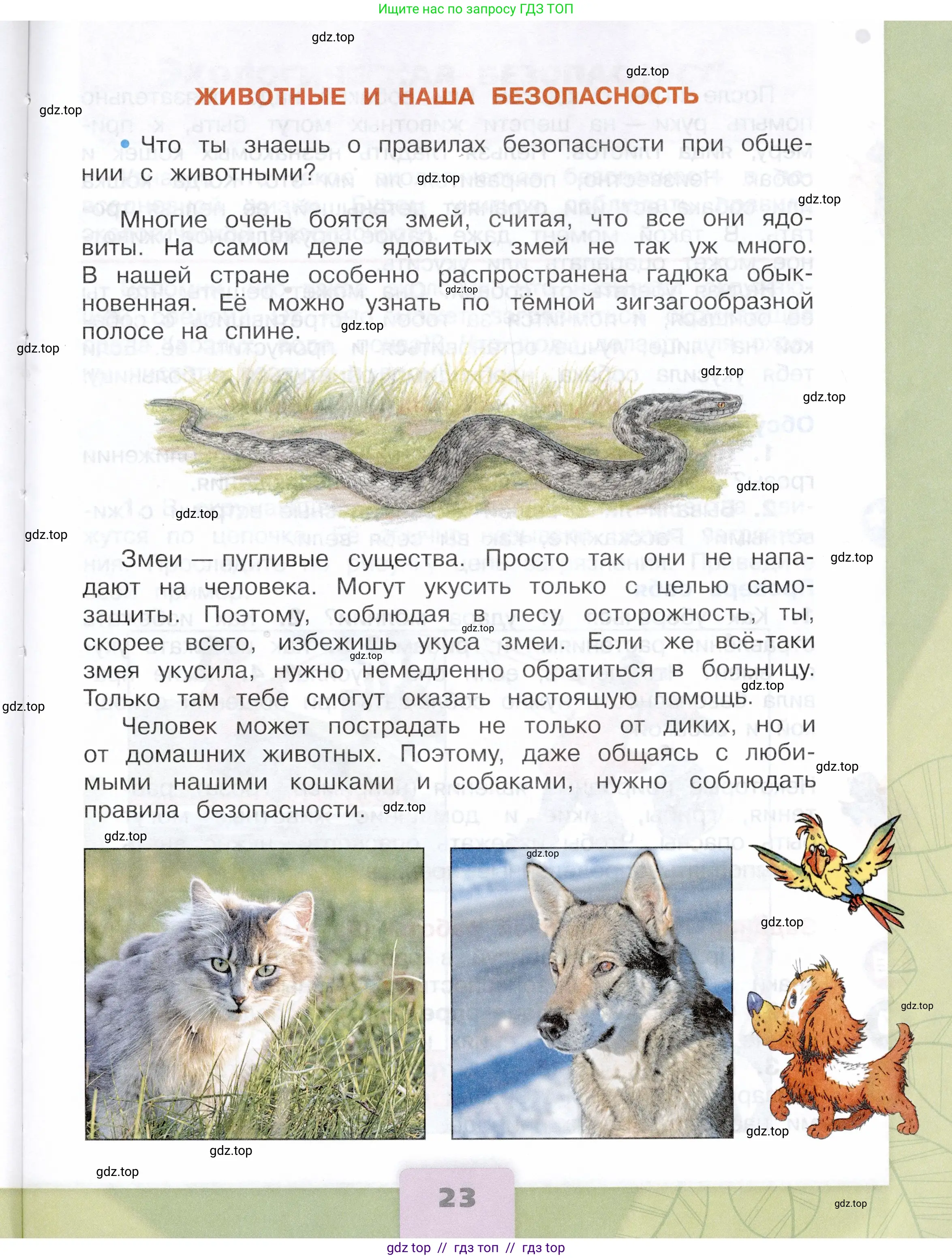 Окружающий мир, 3 класс Учебник, автор: Плешаков Андрей Анатольевич, издательство Просвещение, Москва, 2023, белого цвета, страница 23