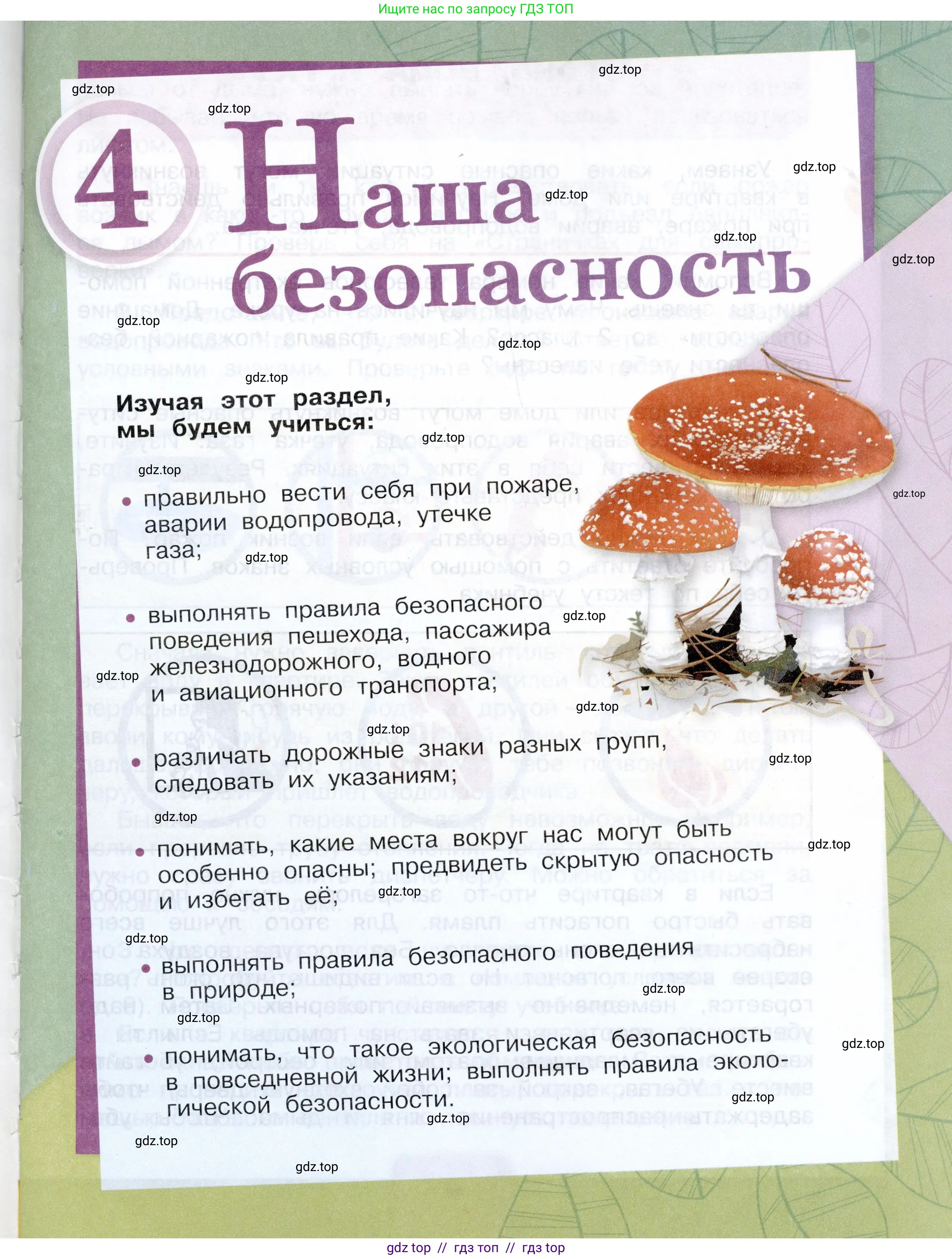 Окружающий мир, 3 класс Учебник, автор: Плешаков Андрей Анатольевич, издательство Просвещение, Москва, 2023, белого цвета, страница 3
