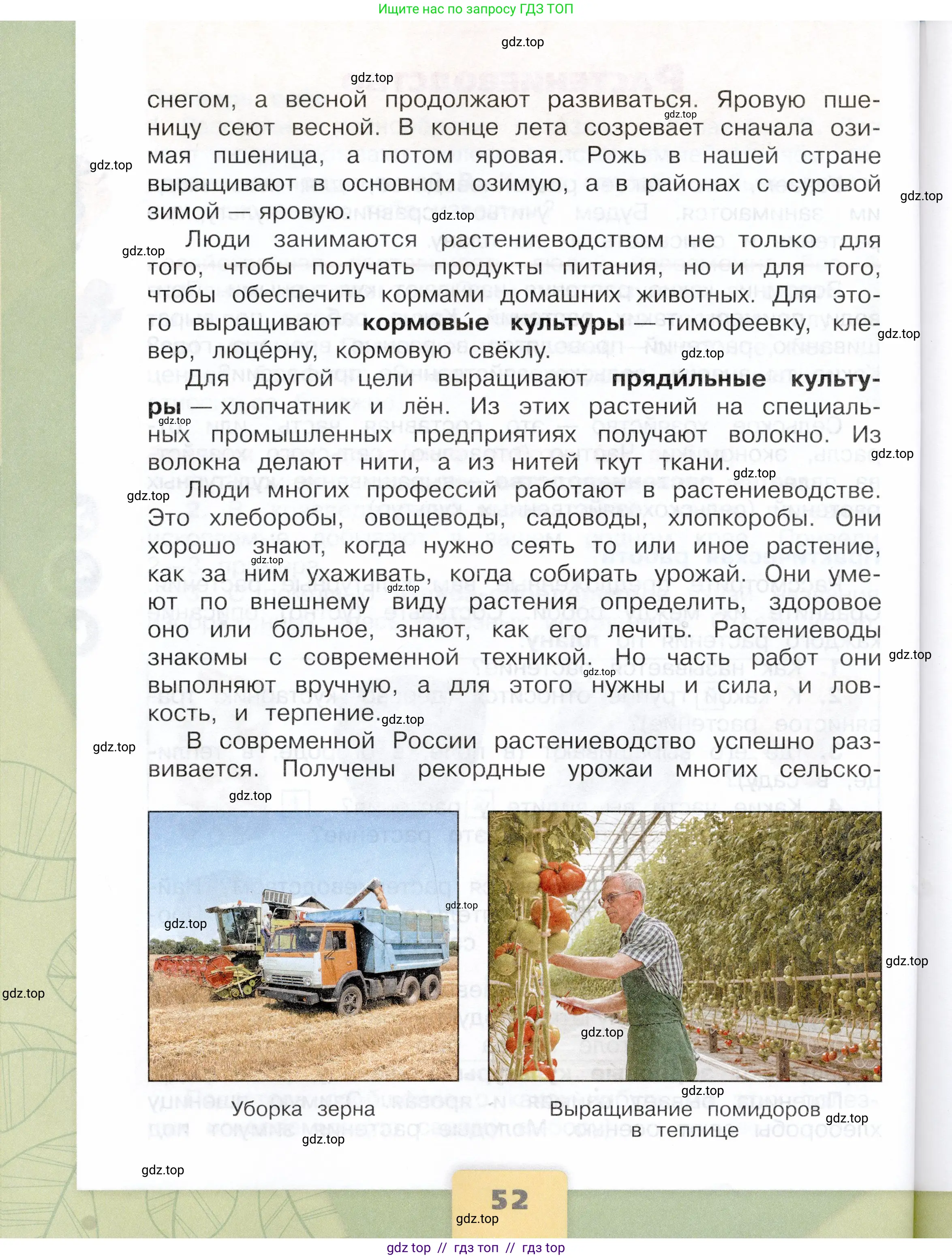 Окружающий мир, 3 класс Учебник, автор: Плешаков Андрей Анатольевич, издательство Просвещение, Москва, 2023, белого цвета, страница 52