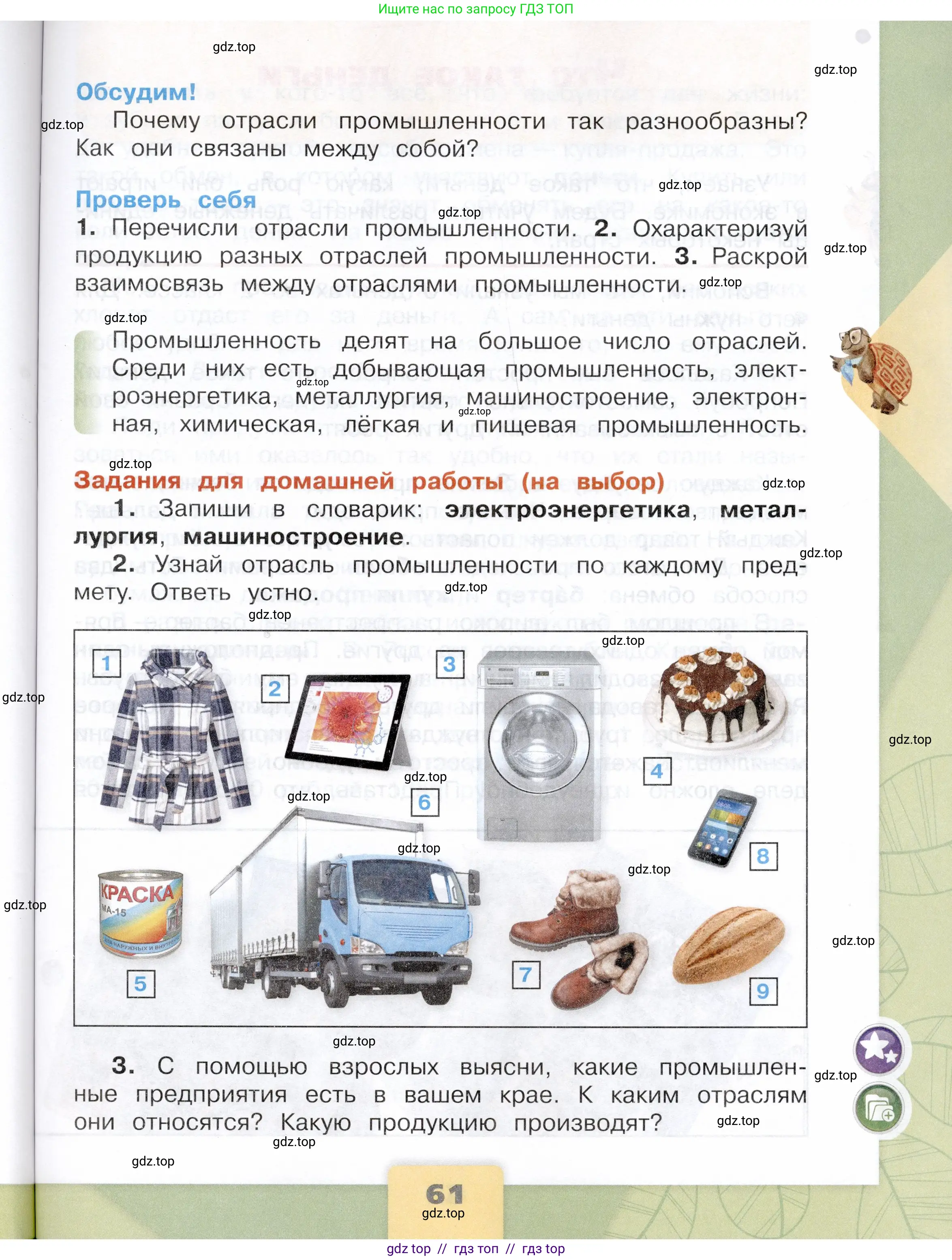 Окружающий мир, 3 класс Учебник, автор: Плешаков Андрей Анатольевич, издательство Просвещение, Москва, 2023, белого цвета, страница 61