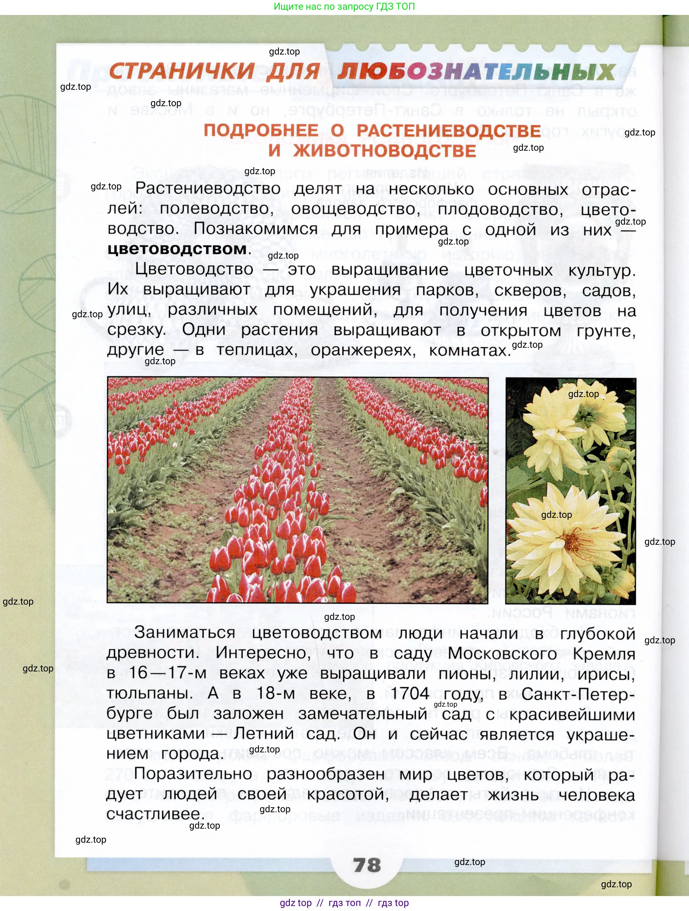Окружающий мир, 3 класс Учебник, автор: Плешаков Андрей Анатольевич, издательство Просвещение, Москва, 2023, белого цвета, страница 78