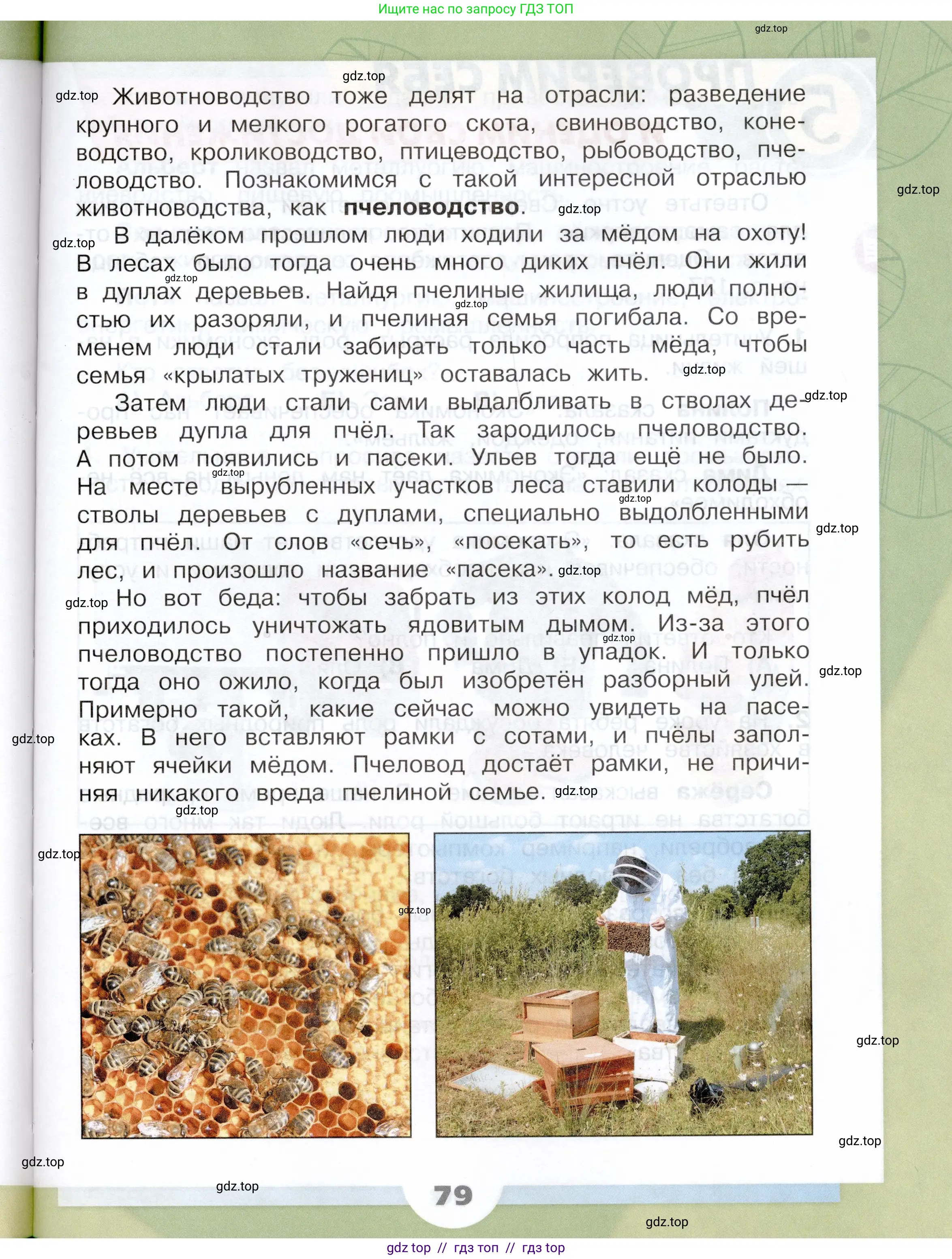 Окружающий мир, 3 класс Учебник, автор: Плешаков Андрей Анатольевич, издательство Просвещение, Москва, 2023, белого цвета, страница 79