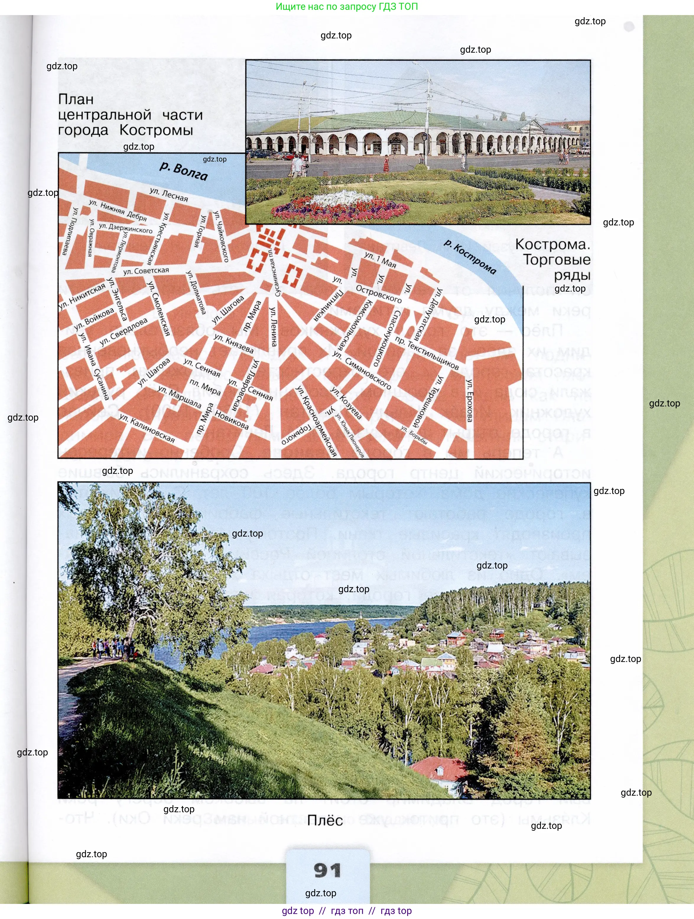 Окружающий мир, 3 класс Учебник, автор: Плешаков Андрей Анатольевич, издательство Просвещение, Москва, 2023, белого цвета, страница 91