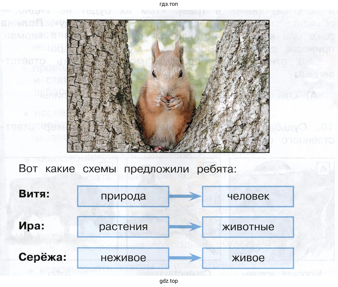 Вот какие схемы предложили ребята: