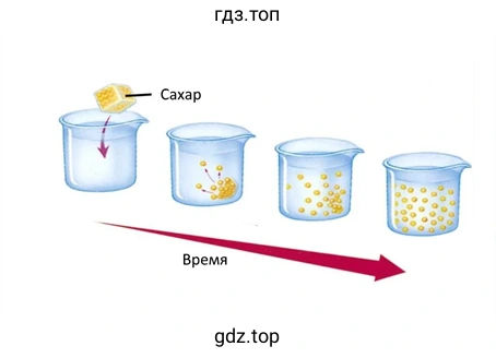 Процесс растворения кусочка сахара в воде