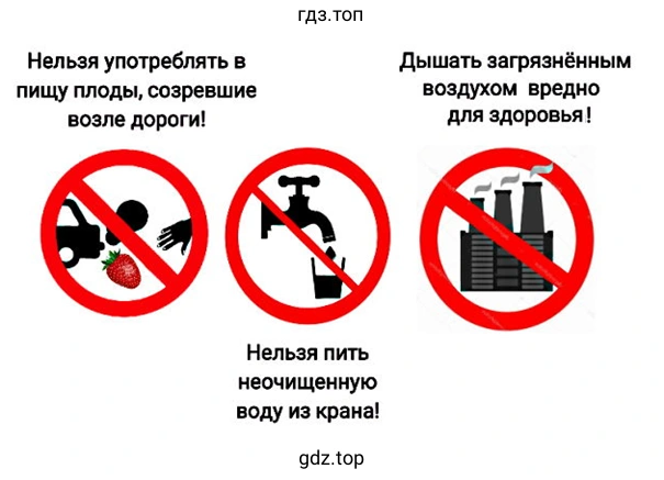 Экологическая безопасность