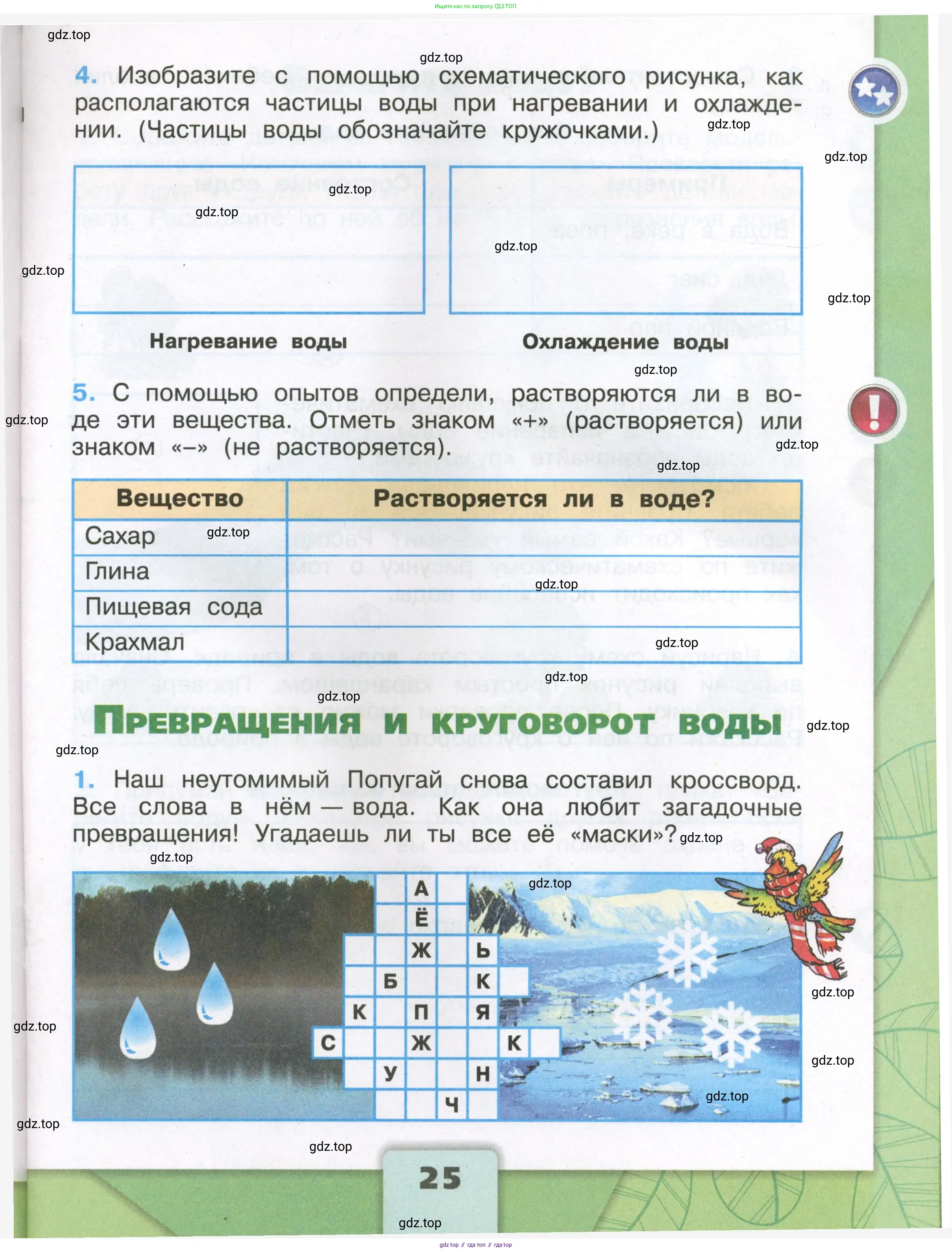 Окружающий мир, 3 класс рабочая тетрадь, автор: Плешаков Андрей Анатольевич, издательство Просвещение, Москва, 2023, белого цвета, Часть 1, страница 25