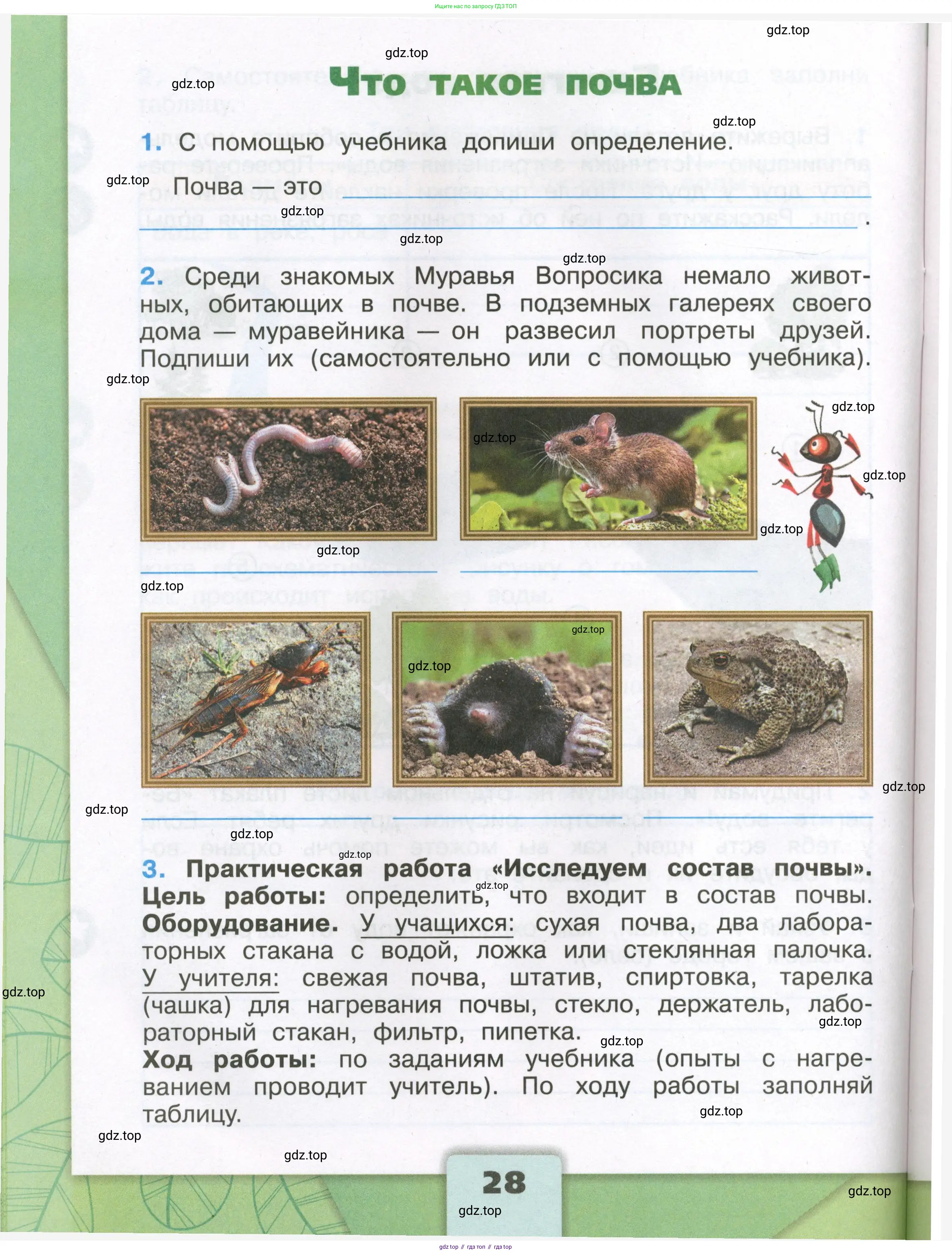 Окружающий мир, 3 класс рабочая тетрадь, автор: Плешаков Андрей Анатольевич, издательство Просвещение, Москва, 2023, белого цвета, Часть 1, страница 28