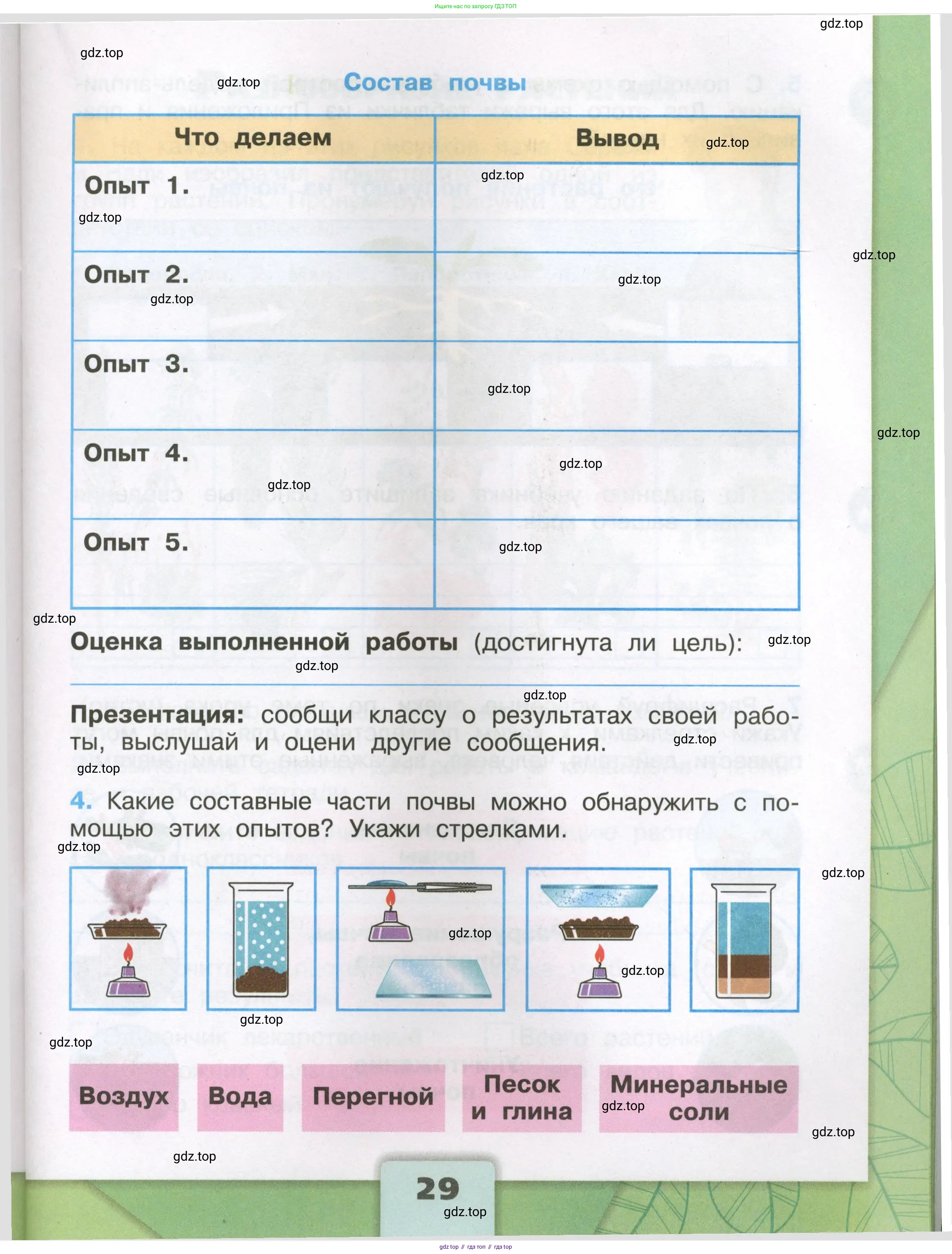 Окружающий мир, 3 класс рабочая тетрадь, автор: Плешаков Андрей Анатольевич, издательство Просвещение, Москва, 2023, белого цвета, страница 29