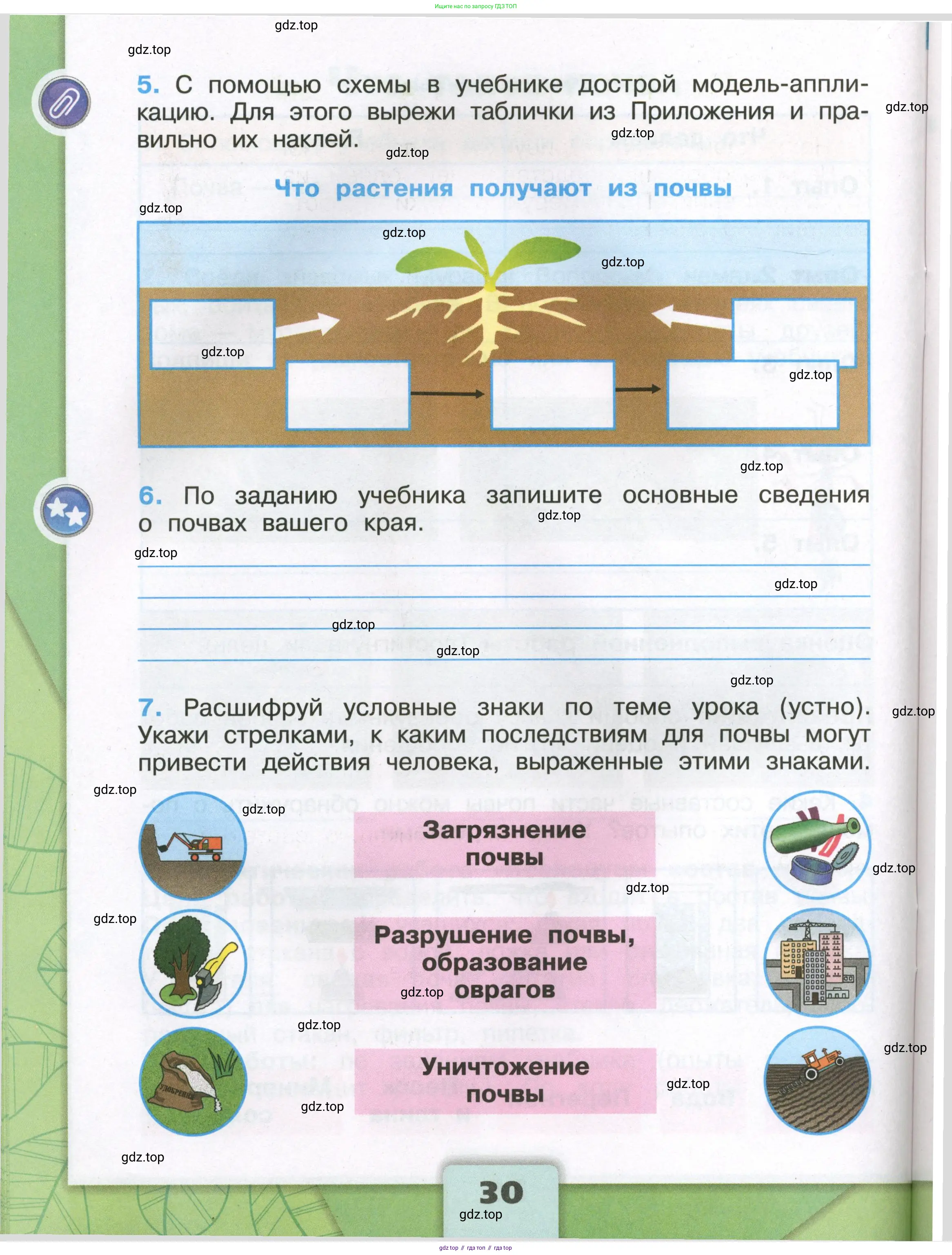 Окружающий мир, 3 класс рабочая тетрадь, автор: Плешаков Андрей Анатольевич, издательство Просвещение, Москва, 2023, белого цвета, страница 30
