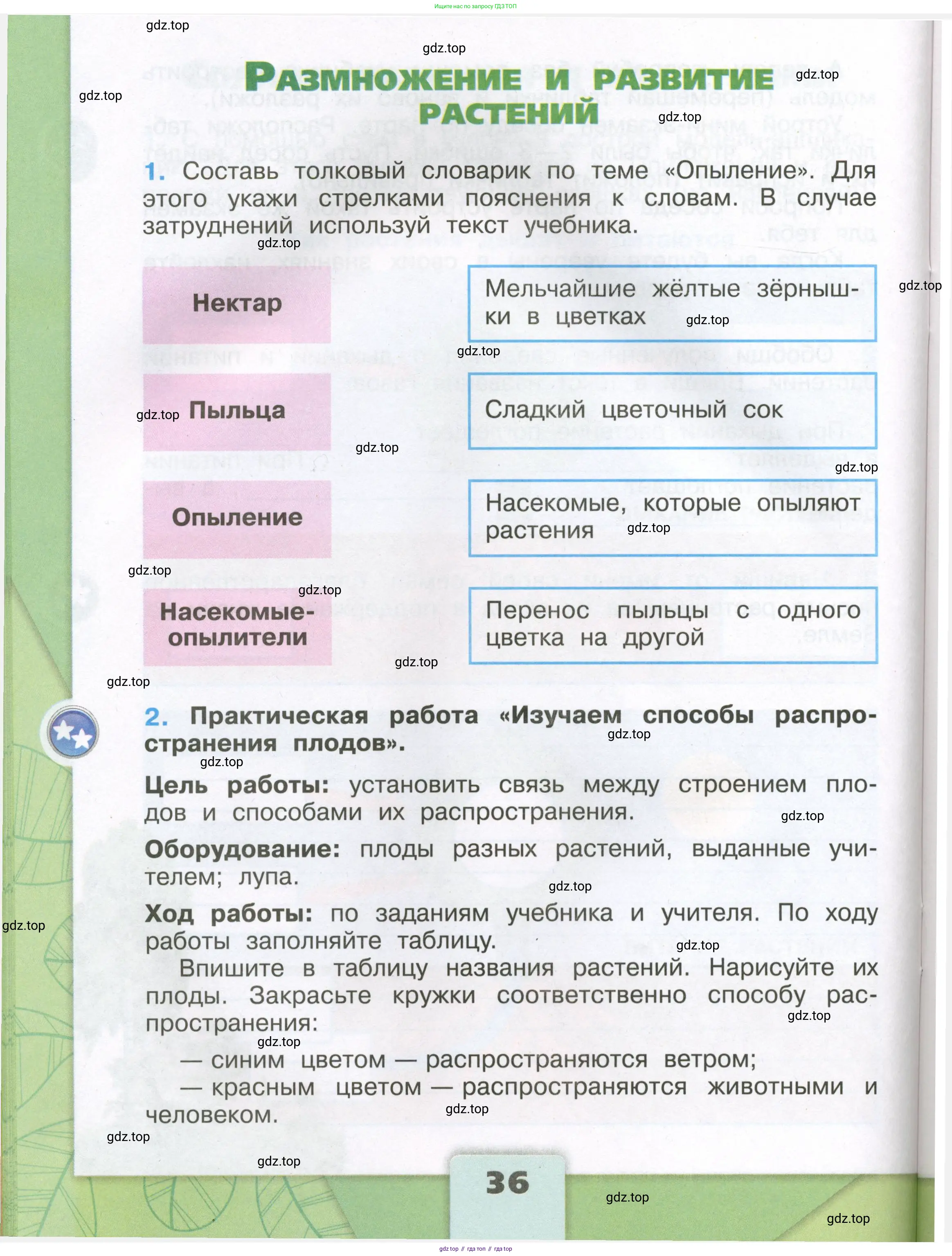 Окружающий мир, 3 класс рабочая тетрадь, автор: Плешаков Андрей Анатольевич, издательство Просвещение, Москва, 2023, белого цвета, Часть 1, страница 36