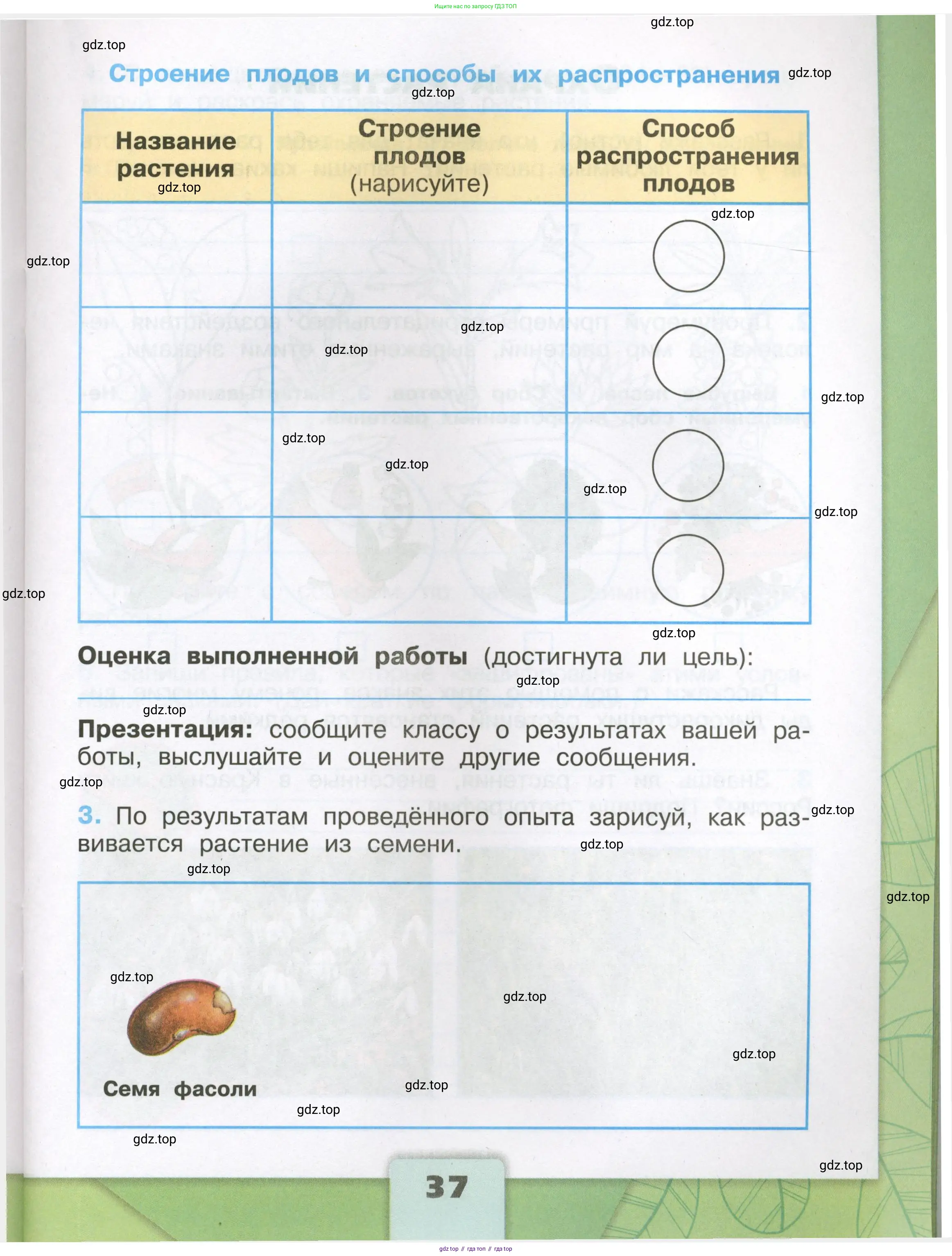 Окружающий мир, 3 класс рабочая тетрадь, автор: Плешаков Андрей Анатольевич, издательство Просвещение, Москва, 2023, белого цвета, Часть 2, страница 37
