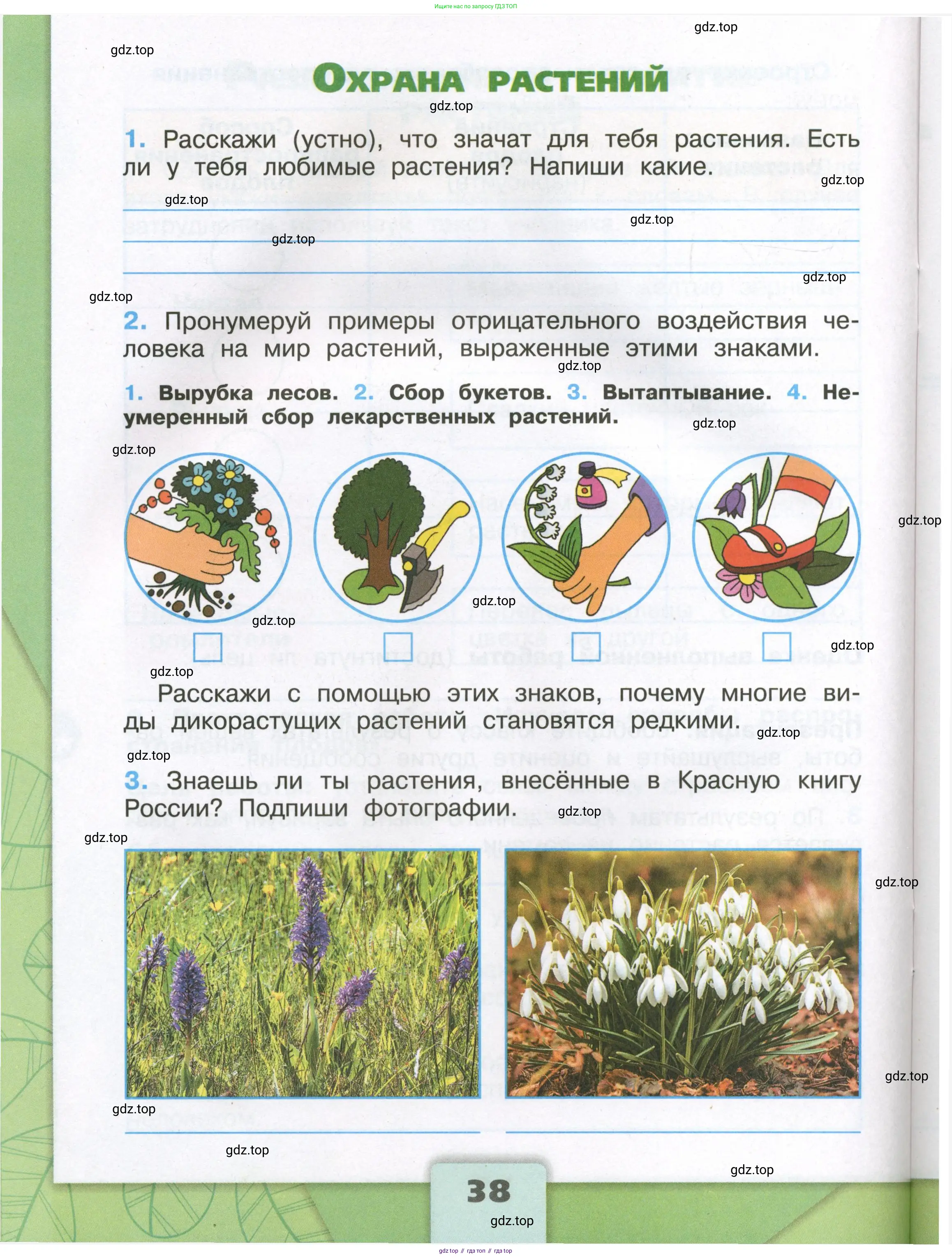 Окружающий мир, 3 класс рабочая тетрадь, автор: Плешаков Андрей Анатольевич, издательство Просвещение, Москва, 2023, белого цвета, Часть 1, страница 38