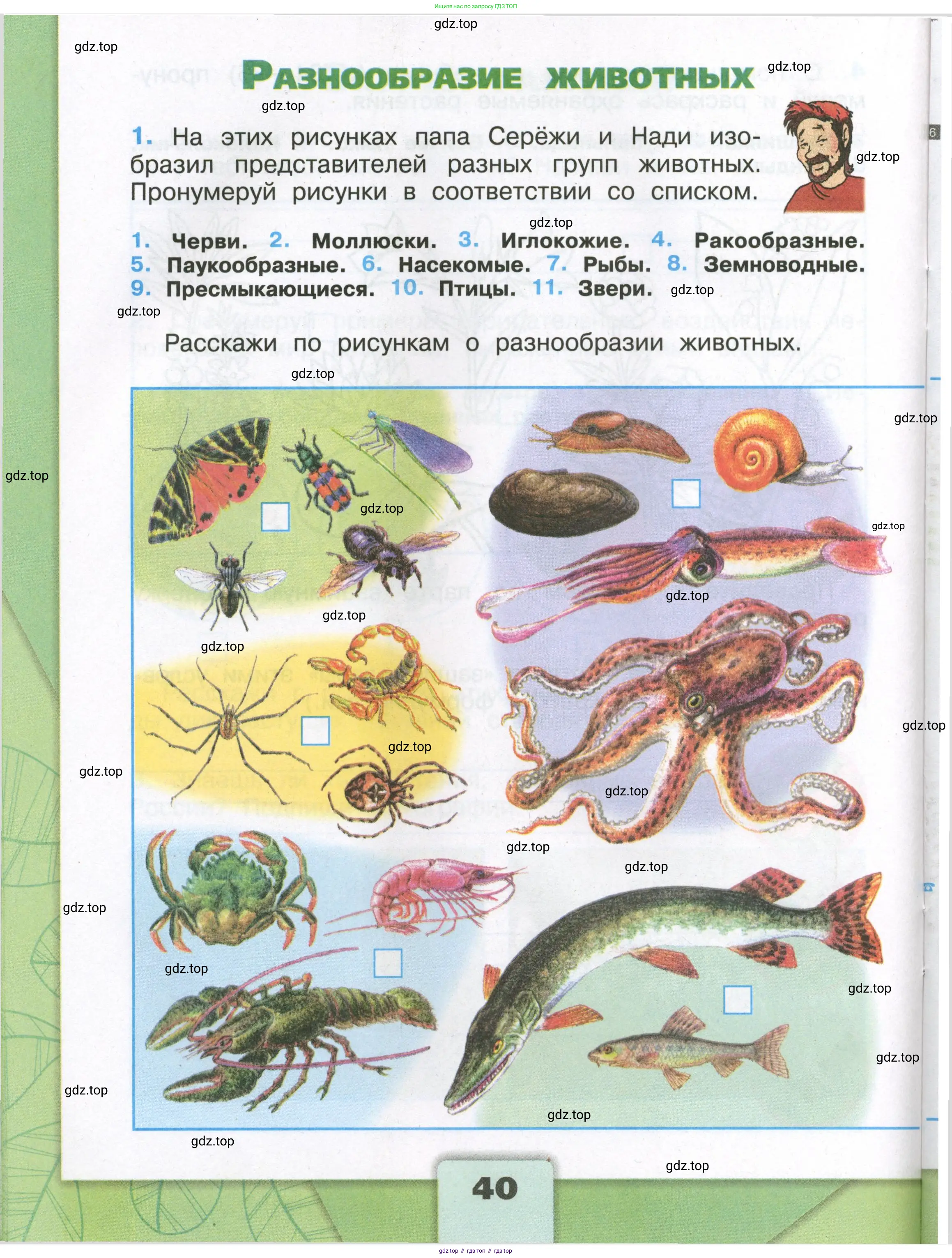 Окружающий мир, 3 класс рабочая тетрадь, автор: Плешаков Андрей Анатольевич, издательство Просвещение, Москва, 2023, белого цвета, Часть 1, страница 40