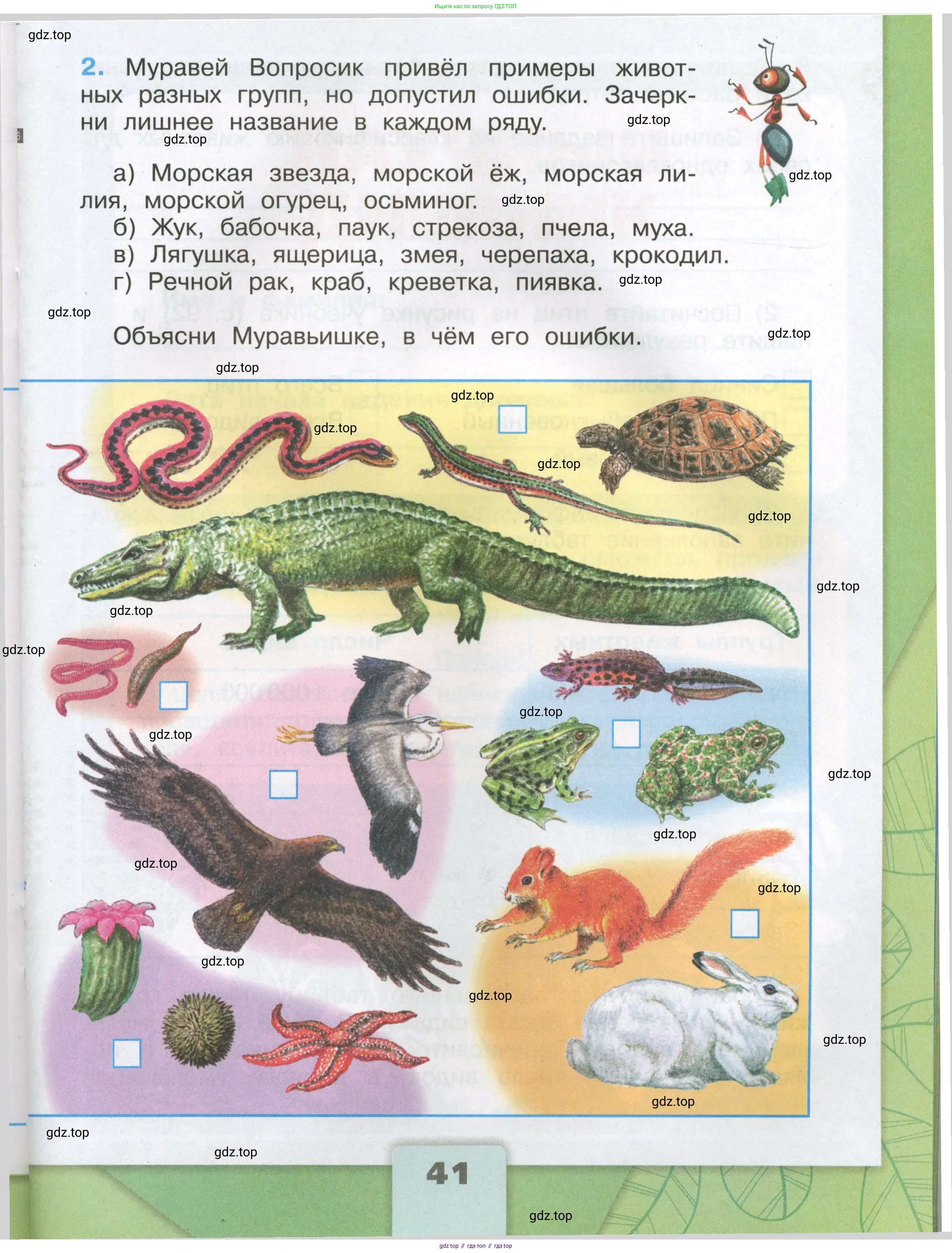 Окружающий мир, 3 класс рабочая тетрадь, автор: Плешаков Андрей Анатольевич, издательство Просвещение, Москва, 2023, белого цвета, страница 41