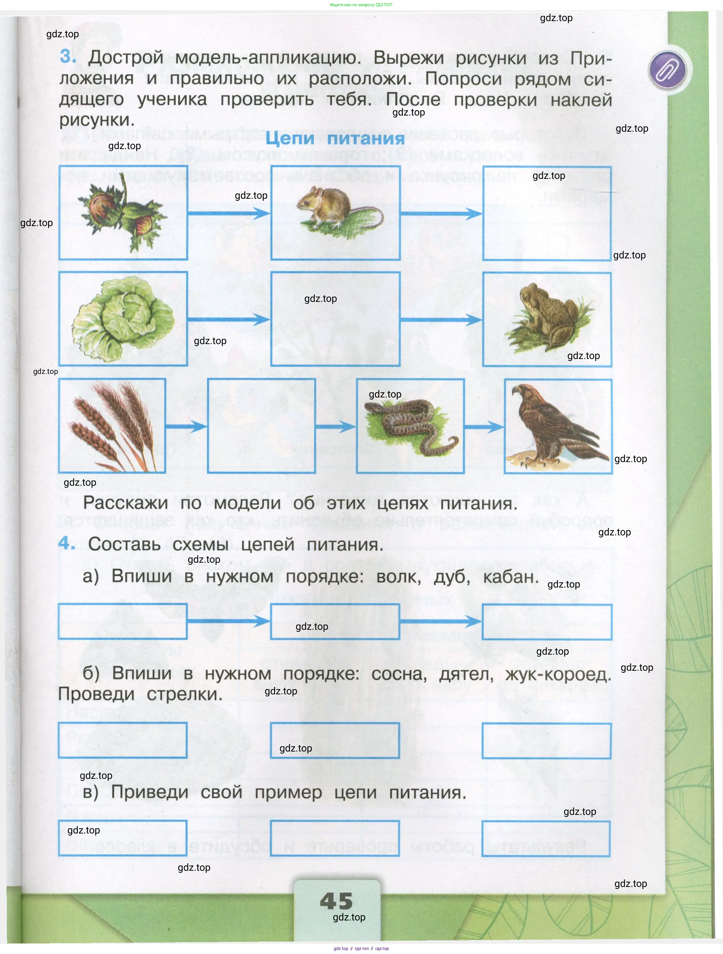 Окружающий мир, 3 класс рабочая тетрадь, автор: Плешаков Андрей Анатольевич, издательство Просвещение, Москва, 2023, белого цвета, страница 45