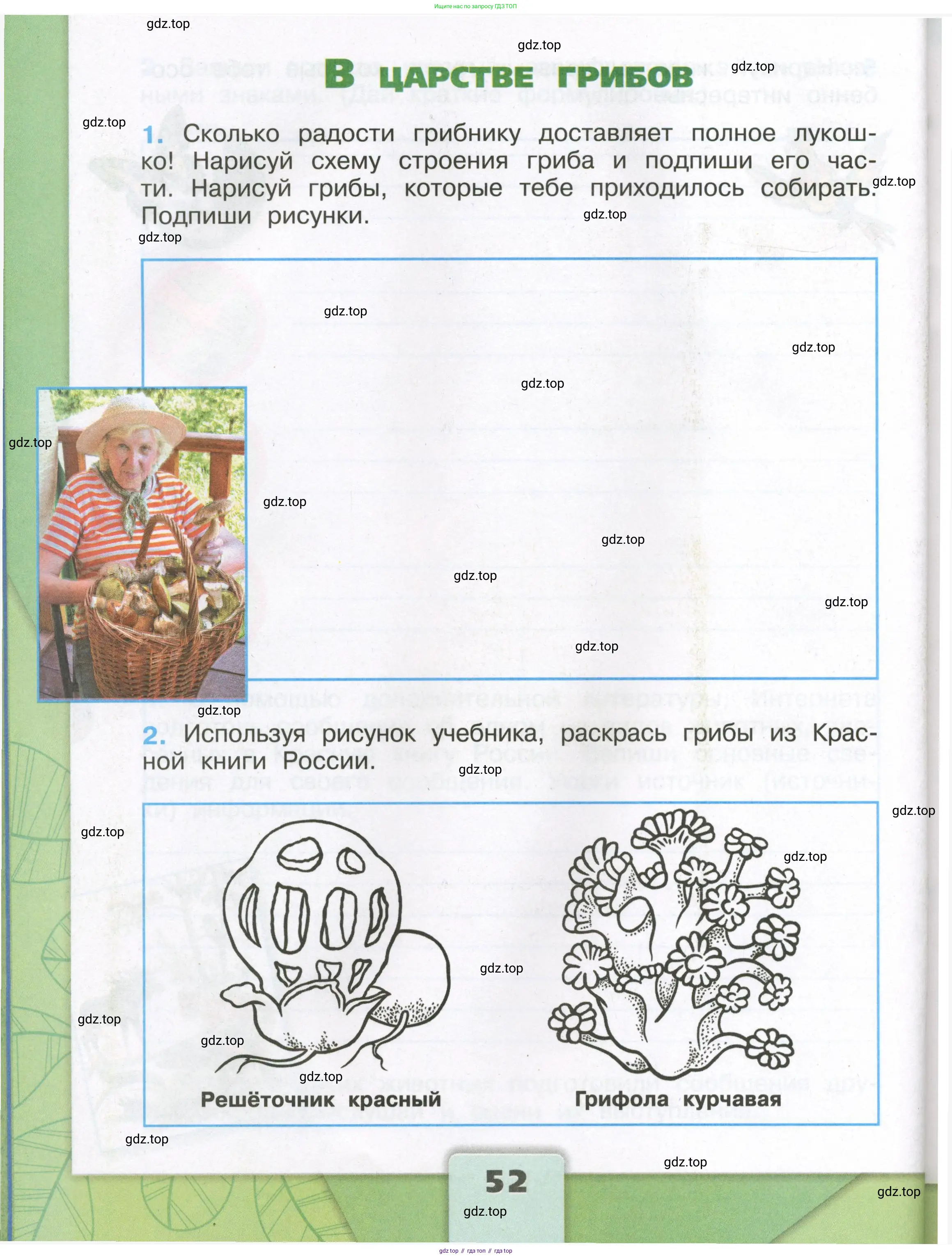 Окружающий мир, 3 класс рабочая тетрадь, автор: Плешаков Андрей Анатольевич, издательство Просвещение, Москва, 2023, белого цвета, Часть 1, страница 52
