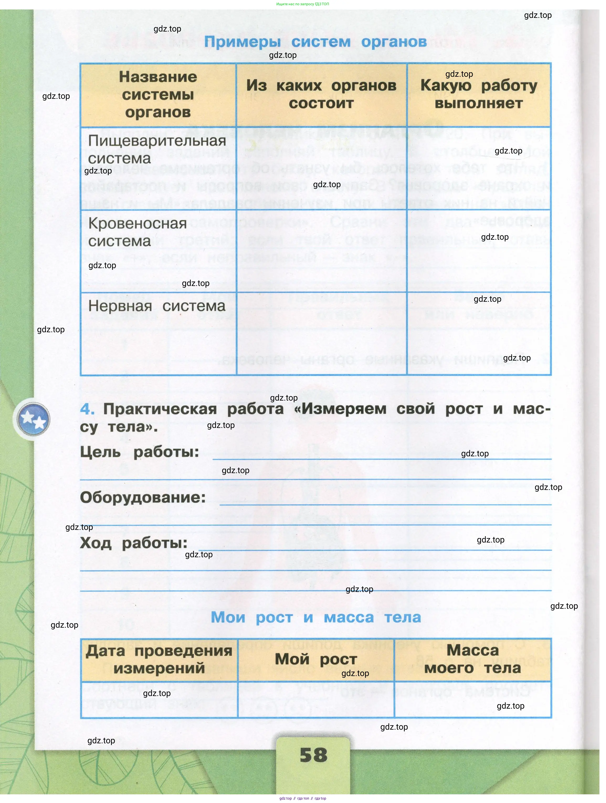 Окружающий мир, 3 класс рабочая тетрадь, автор: Плешаков Андрей Анатольевич, издательство Просвещение, Москва, 2023, белого цвета, Часть 2, страница 58