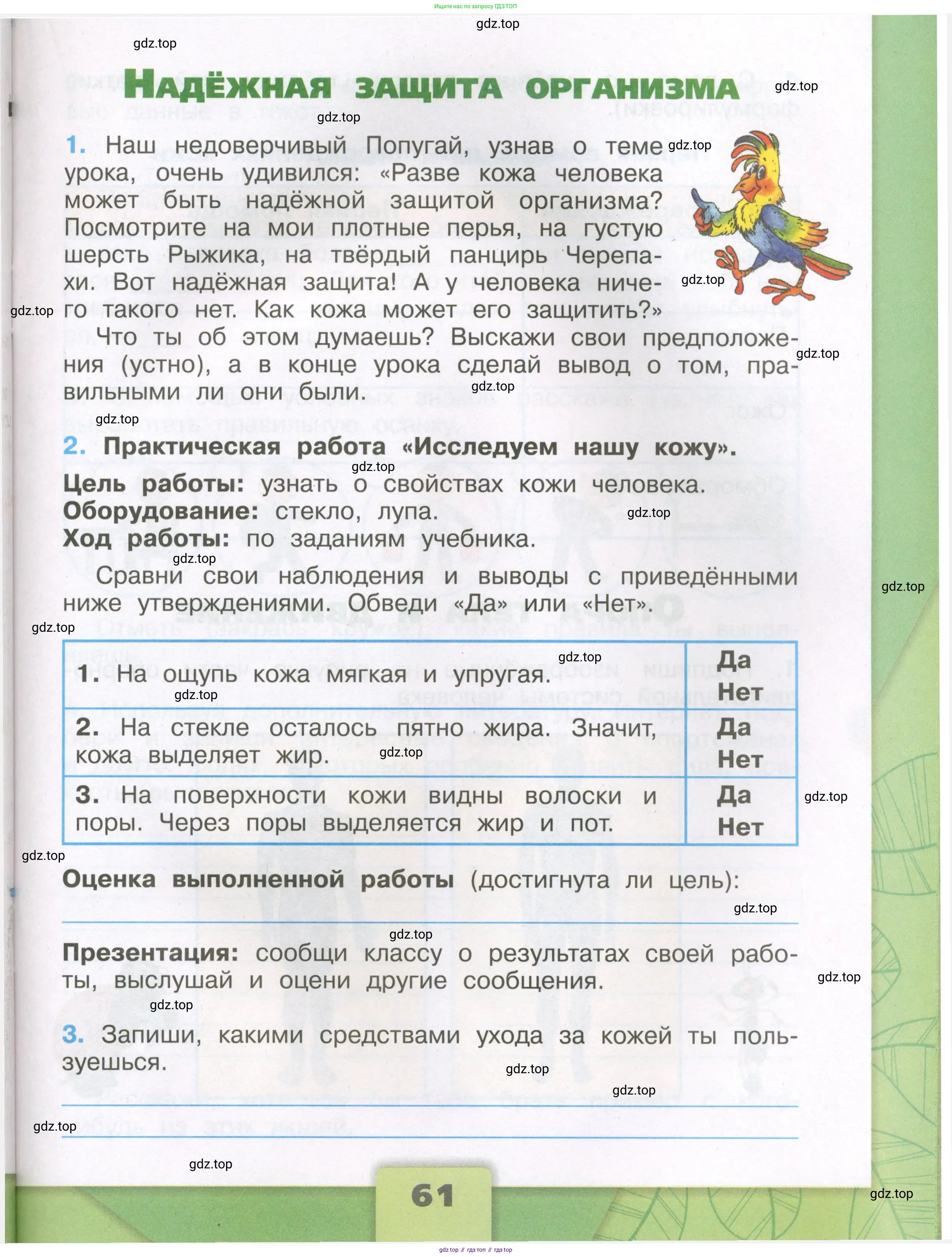 Окружающий мир, 3 класс рабочая тетрадь, автор: Плешаков Андрей Анатольевич, издательство Просвещение, Москва, 2023, белого цвета, Часть 1, страница 61