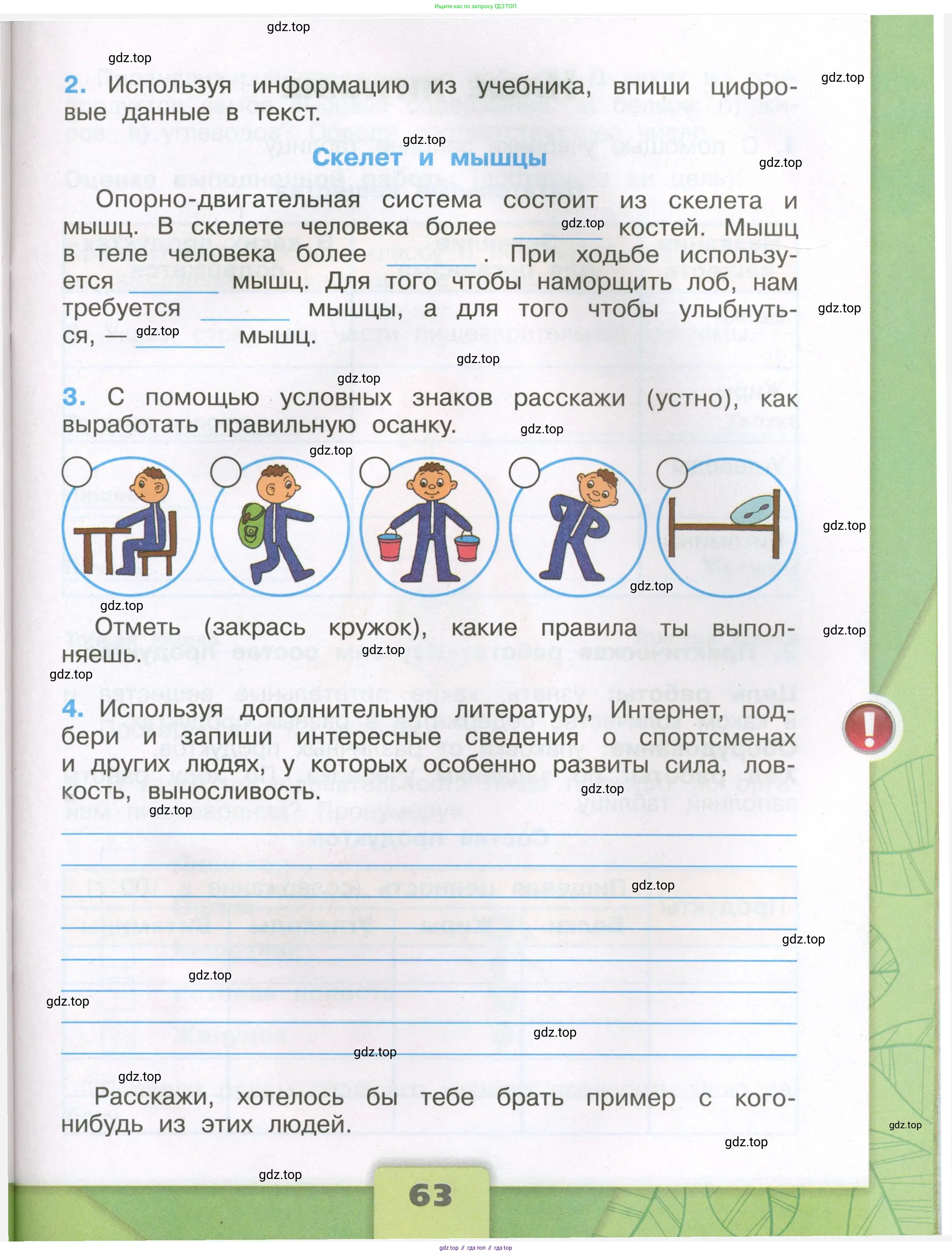 Окружающий мир, 3 класс рабочая тетрадь, автор: Плешаков Андрей Анатольевич, издательство Просвещение, Москва, 2023, белого цвета, страница 63