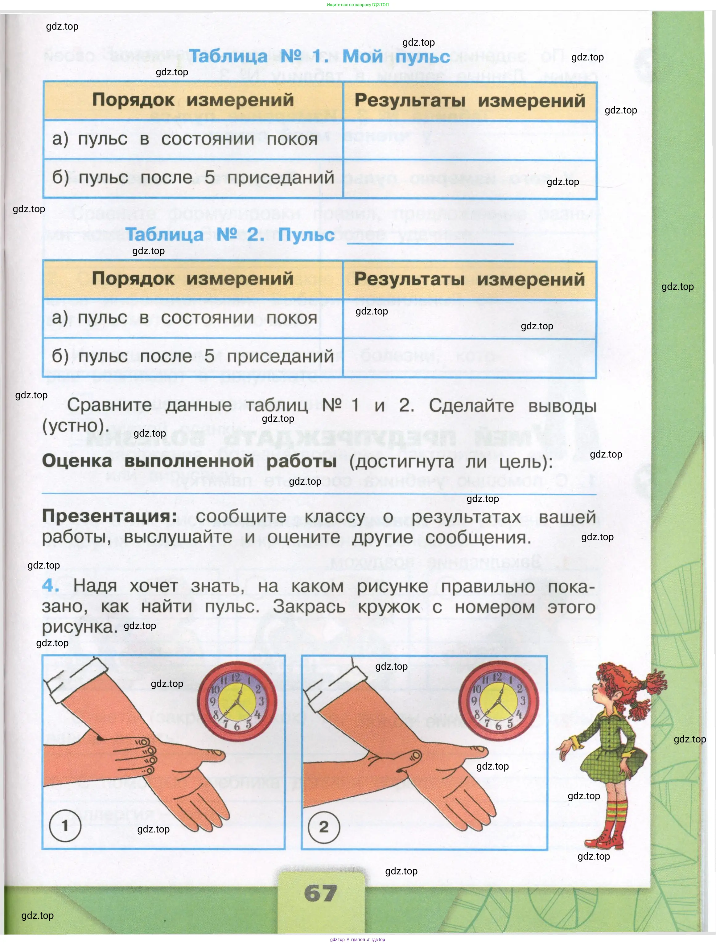 Окружающий мир, 3 класс рабочая тетрадь, автор: Плешаков Андрей Анатольевич, издательство Просвещение, Москва, 2023, белого цвета, страница 67