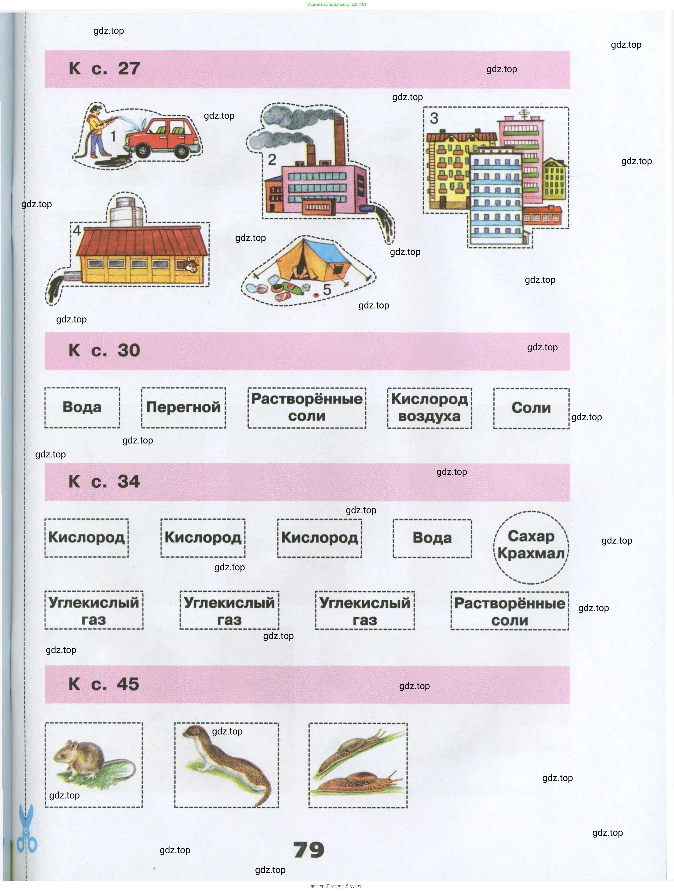 Окружающий мир, 3 класс рабочая тетрадь, автор: Плешаков Андрей Анатольевич, издательство Просвещение, Москва, 2023, белого цвета, страница 79