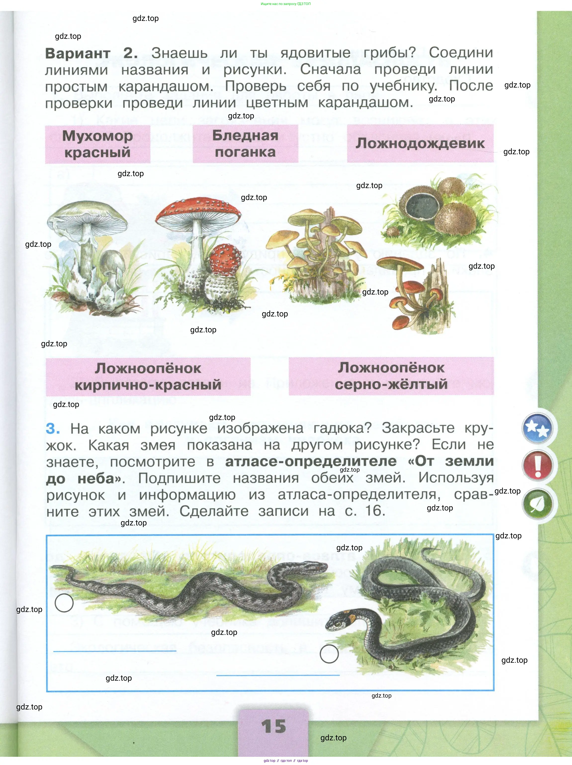 Окружающий мир, 3 класс рабочая тетрадь, автор: Плешаков Андрей Анатольевич, издательство Просвещение, Москва, 2023, белого цвета, Часть 1, страница 15
