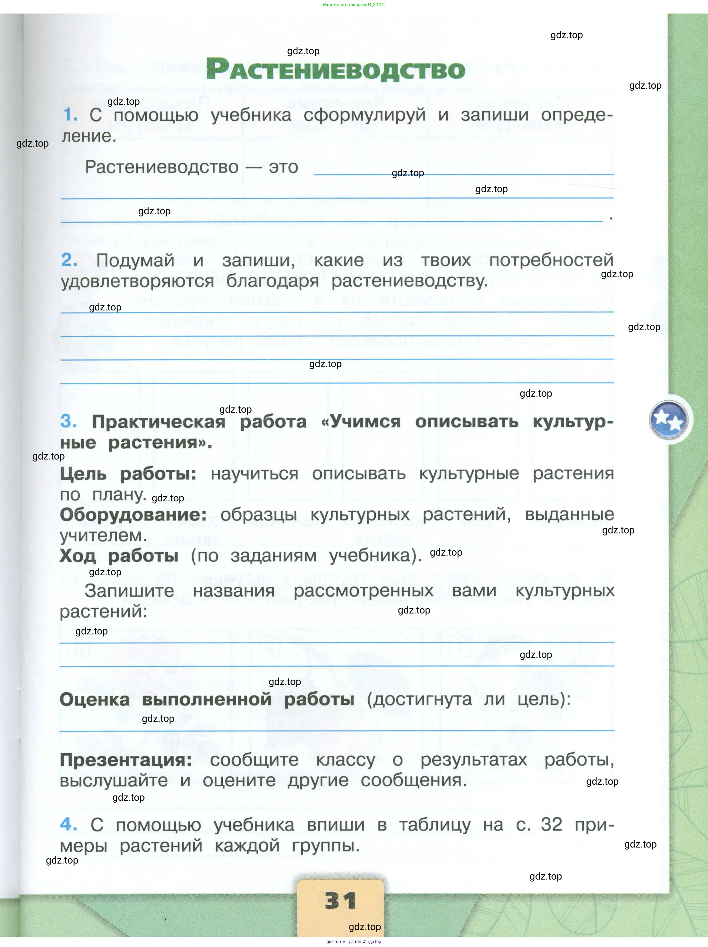 Окружающий мир, 3 класс рабочая тетрадь, автор: Плешаков Андрей Анатольевич, издательство Просвещение, Москва, 2023, белого цвета, Часть 1, страница 31