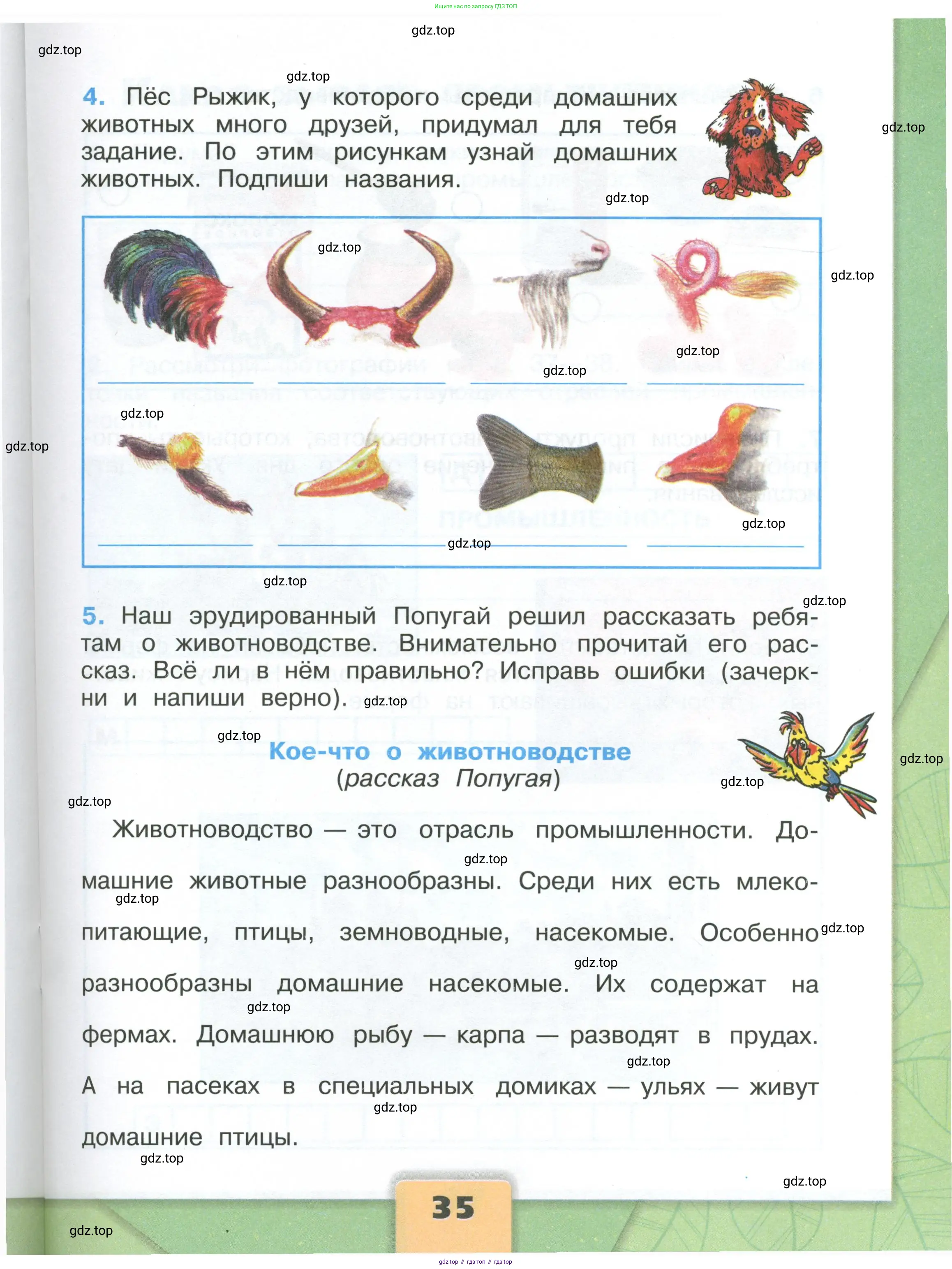 Окружающий мир, 3 класс рабочая тетрадь, автор: Плешаков Андрей Анатольевич, издательство Просвещение, Москва, 2023, белого цвета, страница 35