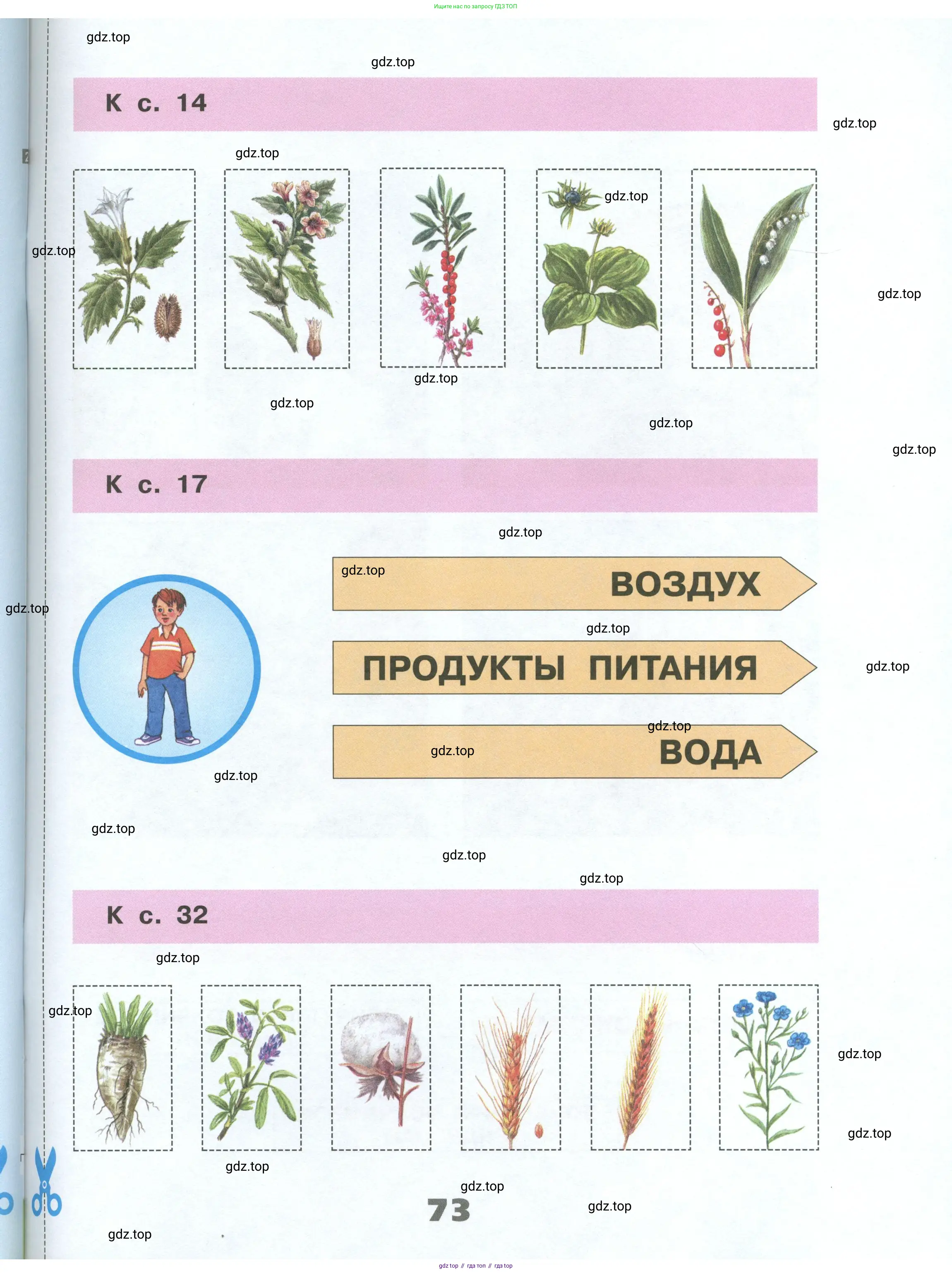 Окружающий мир, 3 класс рабочая тетрадь, автор: Плешаков Андрей Анатольевич, издательство Просвещение, Москва, 2023, белого цвета, страница 73