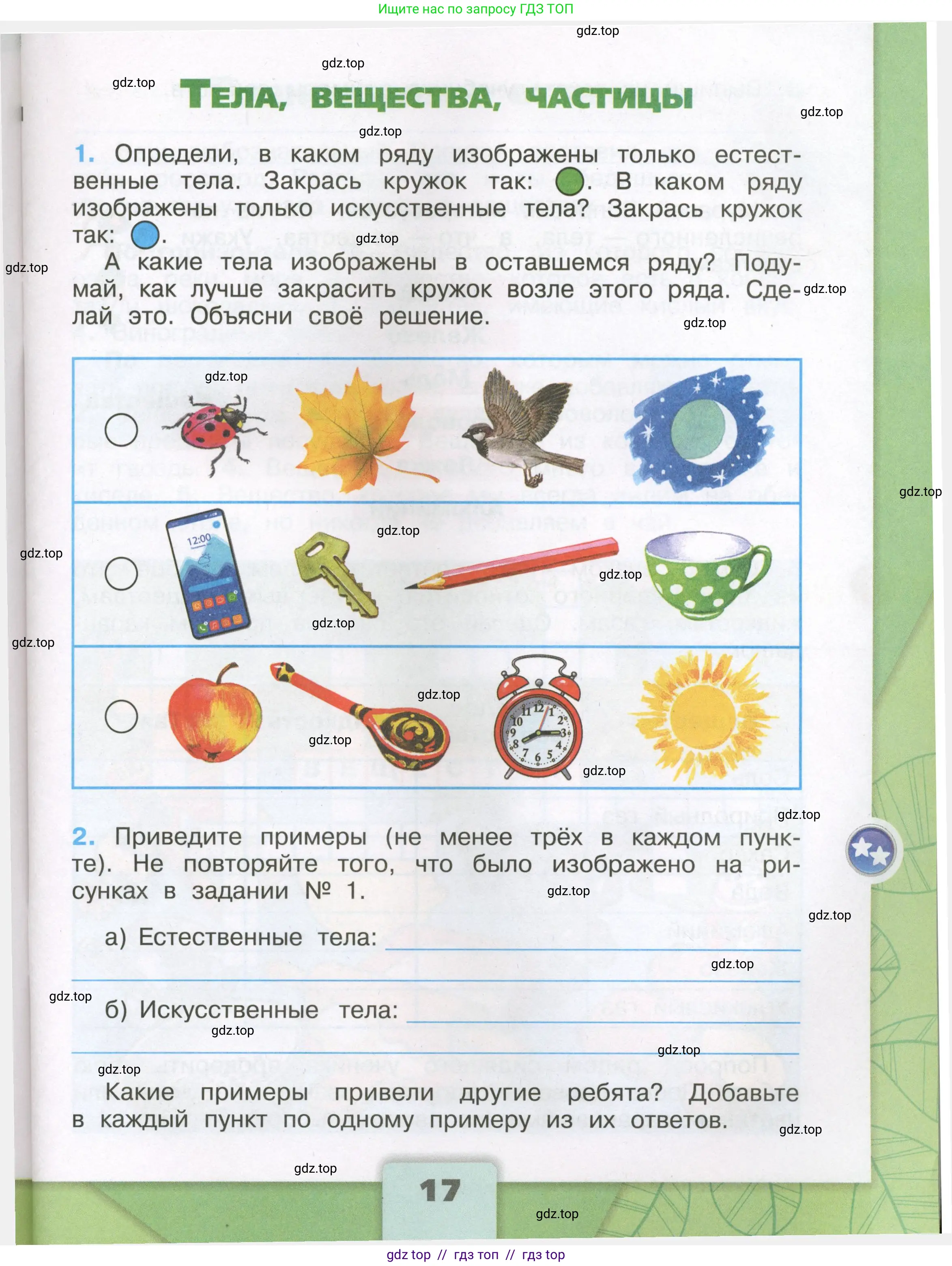 Окружающий мир, 3 класс рабочая тетрадь, автор: Плешаков Андрей Анатольевич, издательство Просвещение, Москва, 2023, белого цвета, Часть 1, страница 17