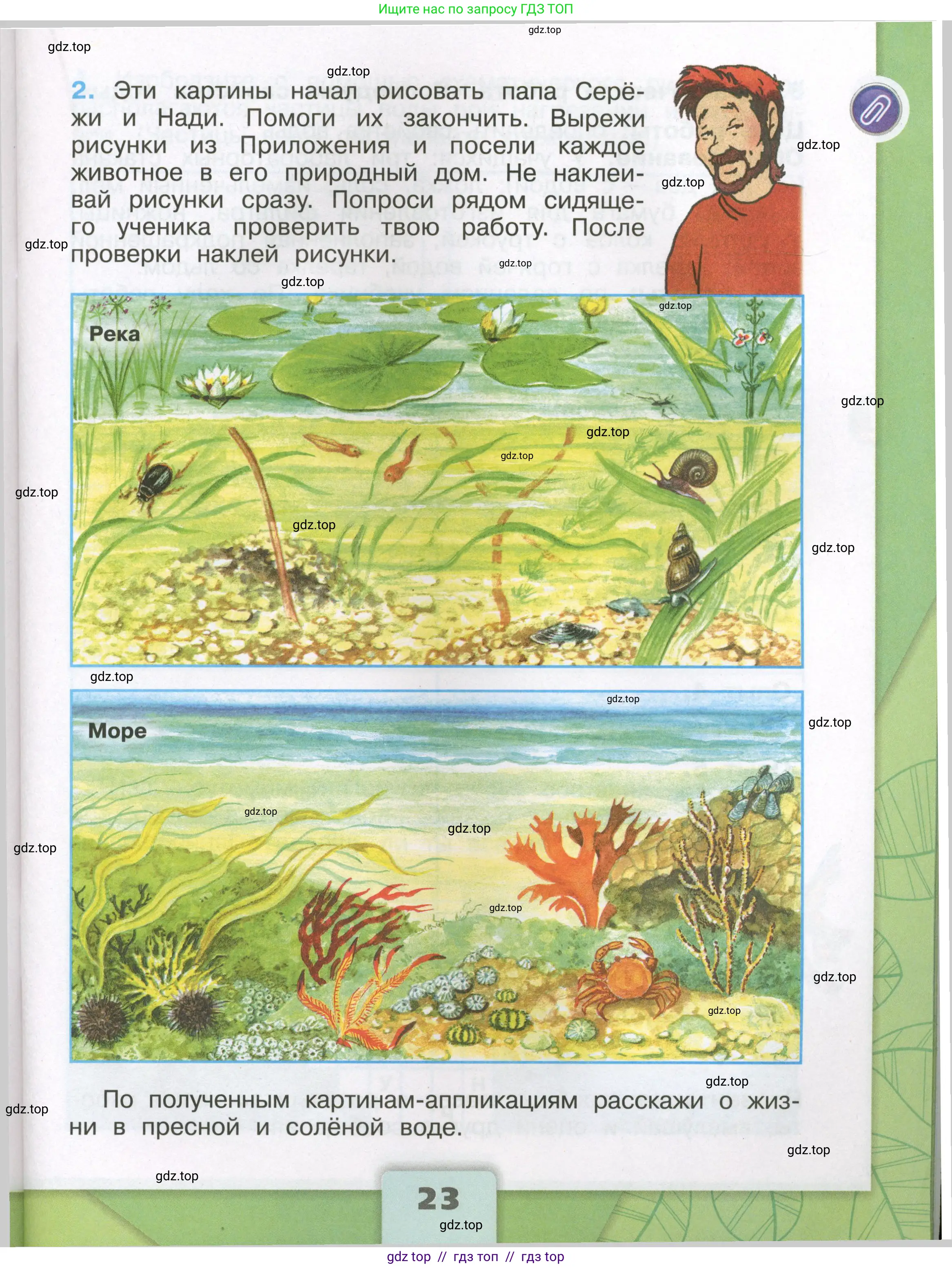 Окружающий мир, 3 класс рабочая тетрадь, автор: Плешаков Андрей Анатольевич, издательство Просвещение, Москва, 2023, белого цвета, страница 23