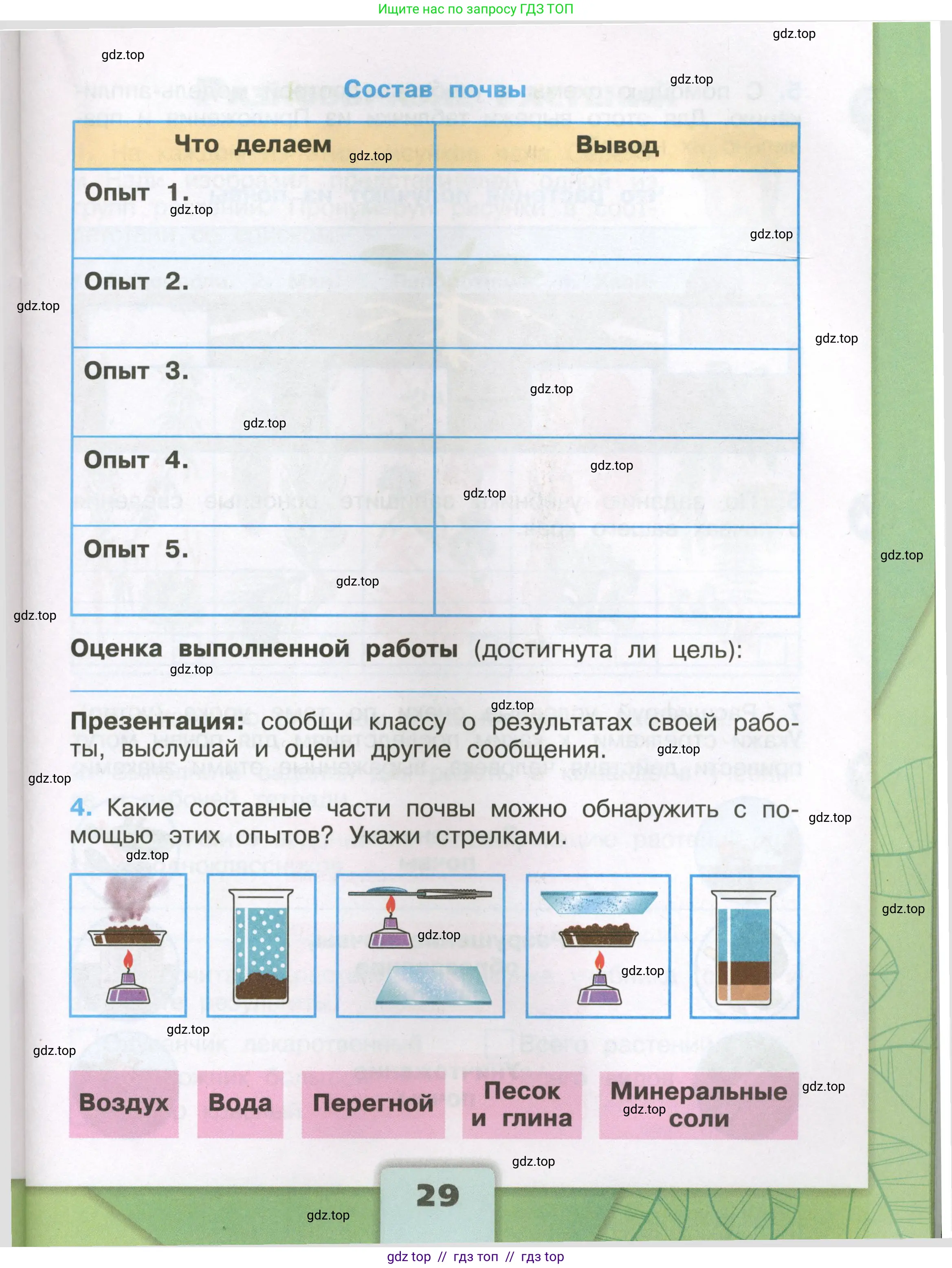Окружающий мир, 3 класс рабочая тетрадь, автор: Плешаков Андрей Анатольевич, издательство Просвещение, Москва, 2023, белого цвета, страница 29