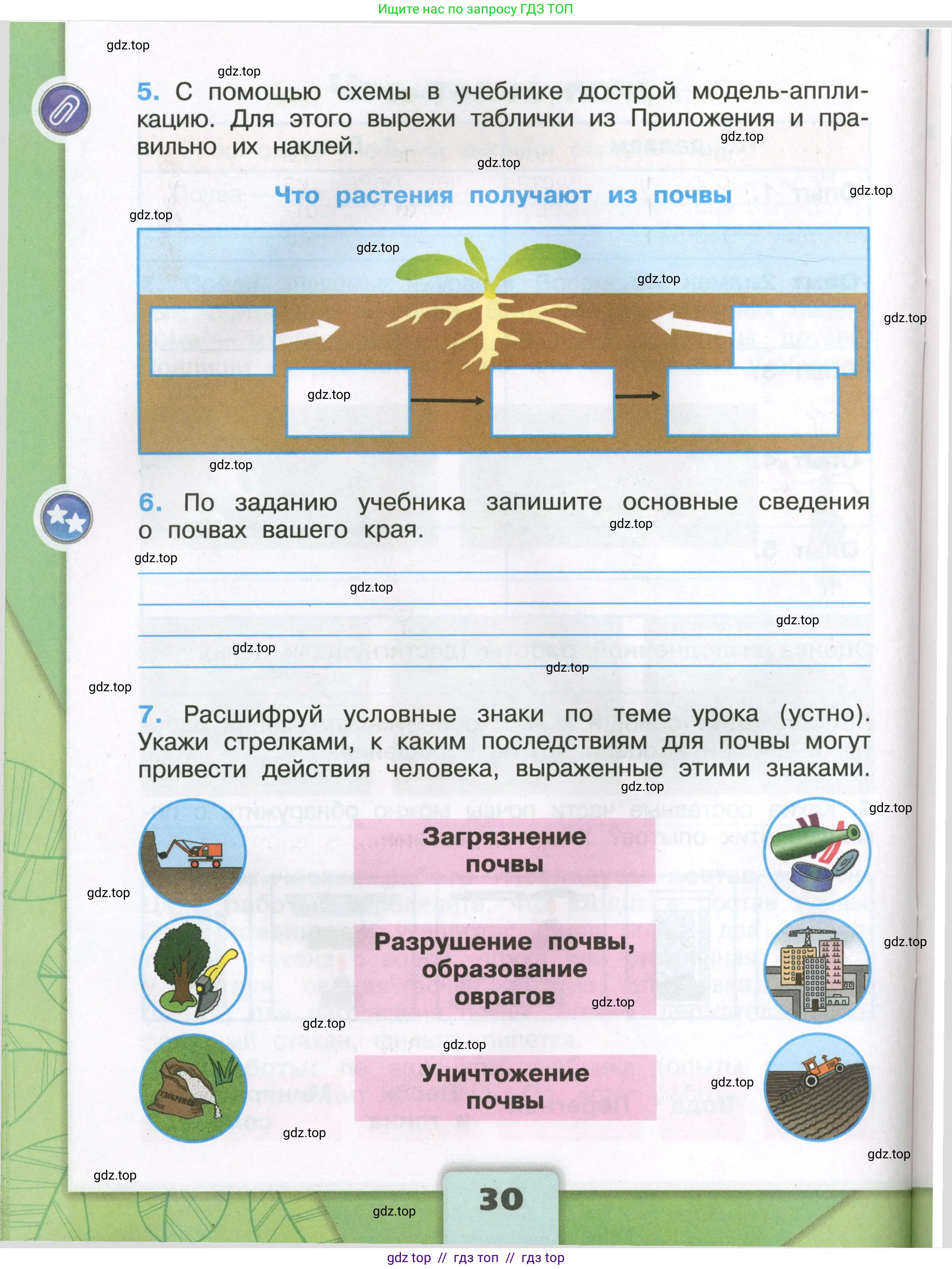 Окружающий мир, 3 класс рабочая тетрадь, автор: Плешаков Андрей Анатольевич, издательство Просвещение, Москва, 2023, белого цвета, страница 30