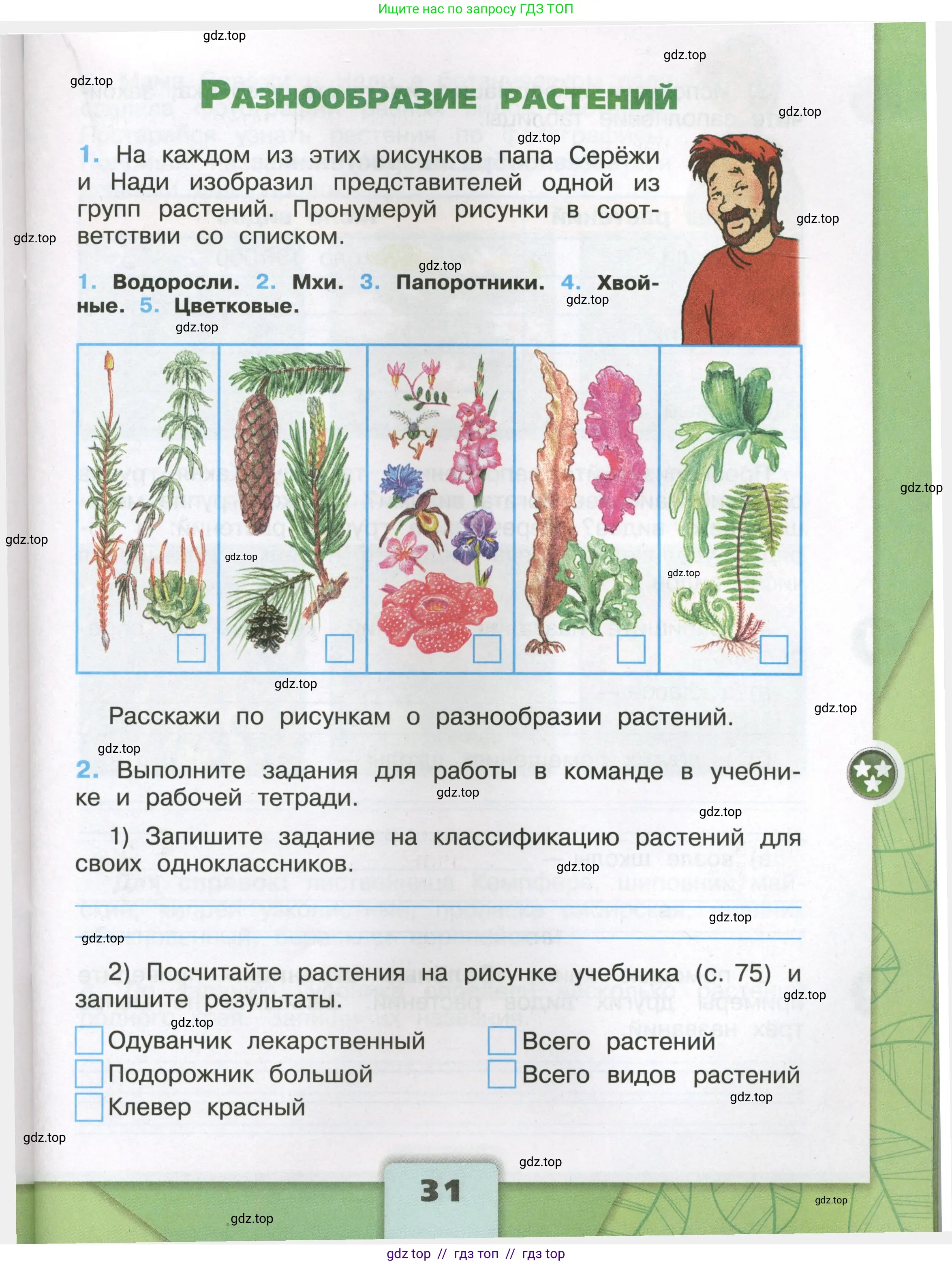 Окружающий мир, 3 класс рабочая тетрадь, автор: Плешаков Андрей Анатольевич, издательство Просвещение, Москва, 2023, белого цвета, Часть 1, страница 31