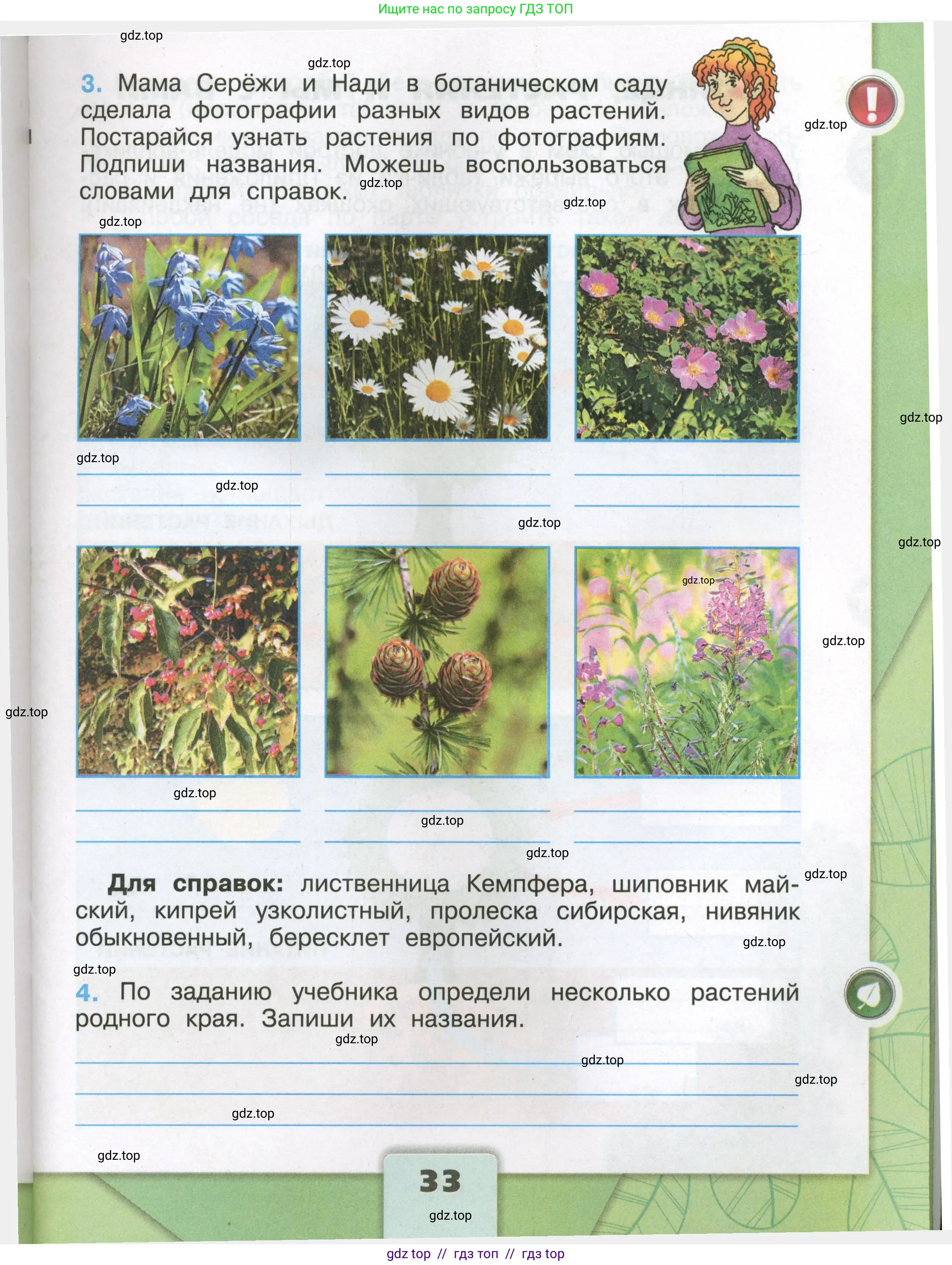 Окружающий мир, 3 класс рабочая тетрадь, автор: Плешаков Андрей Анатольевич, издательство Просвещение, Москва, 2023, белого цвета, страница 33