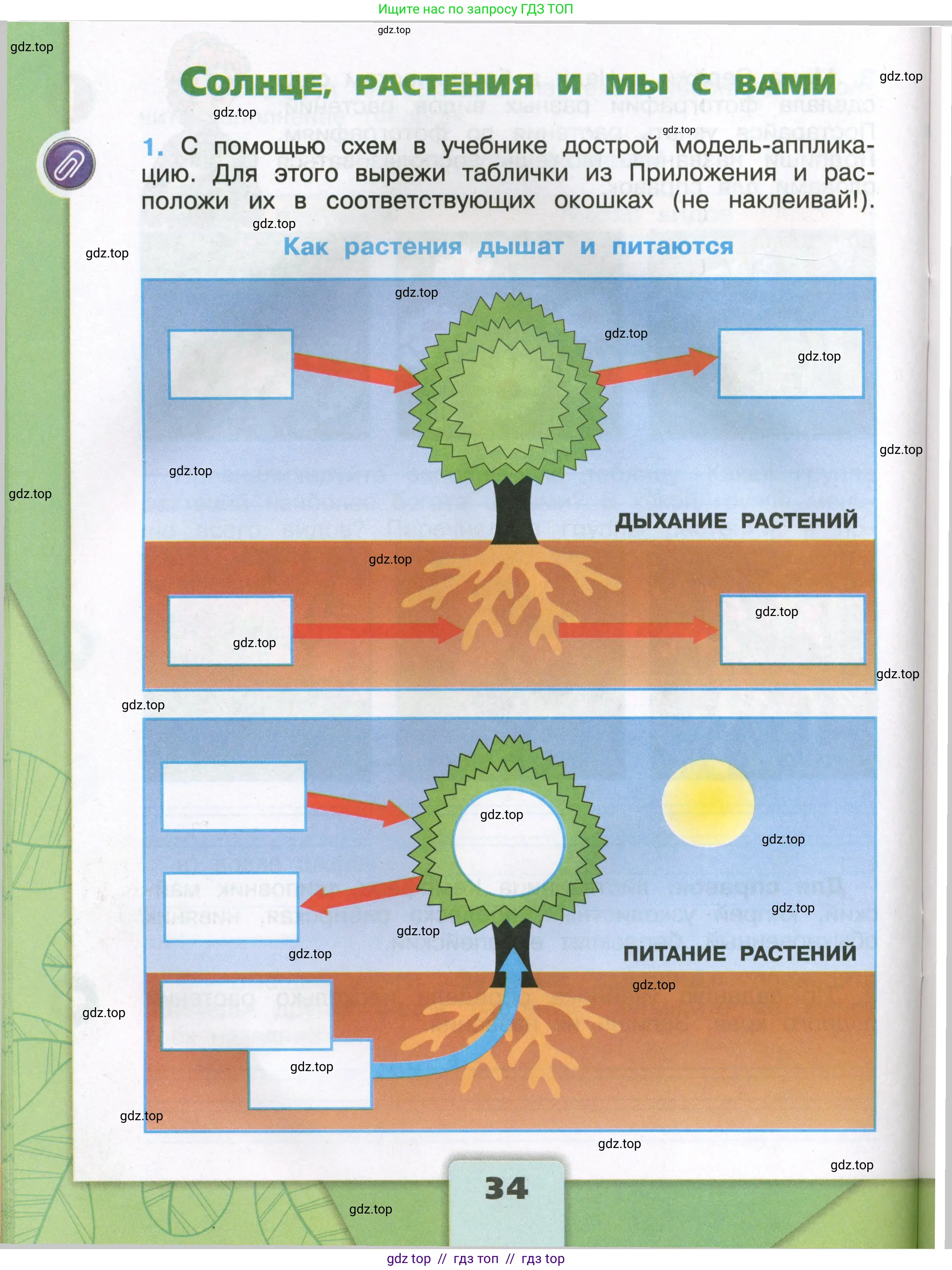 Окружающий мир, 3 класс рабочая тетрадь, автор: Плешаков Андрей Анатольевич, издательство Просвещение, Москва, 2023, белого цвета, Часть 1, страница 34