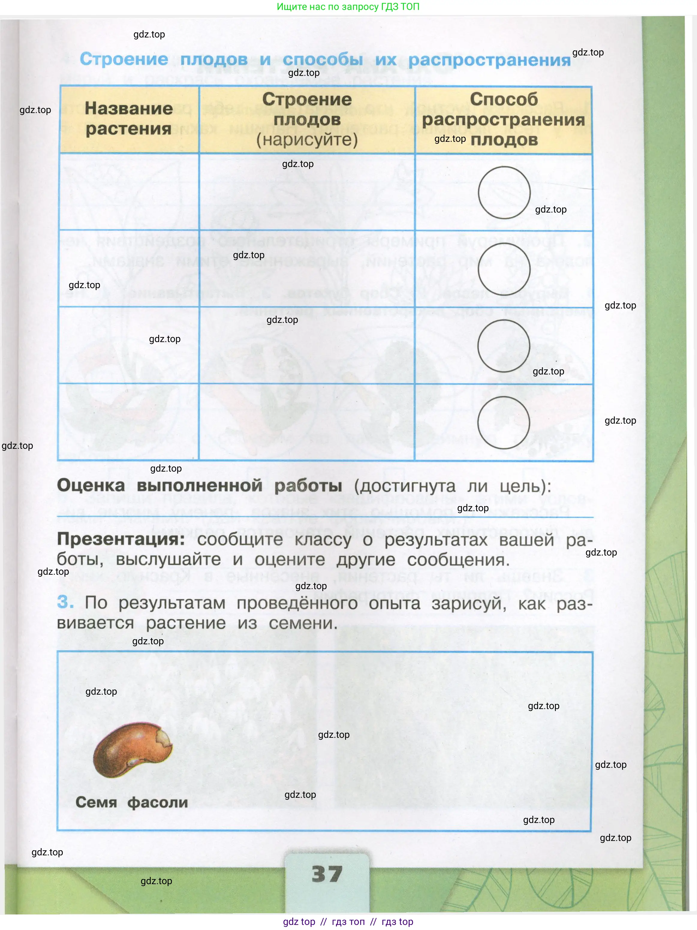 Окружающий мир, 3 класс рабочая тетрадь, автор: Плешаков Андрей Анатольевич, издательство Просвещение, Москва, 2023, белого цвета, страница 37