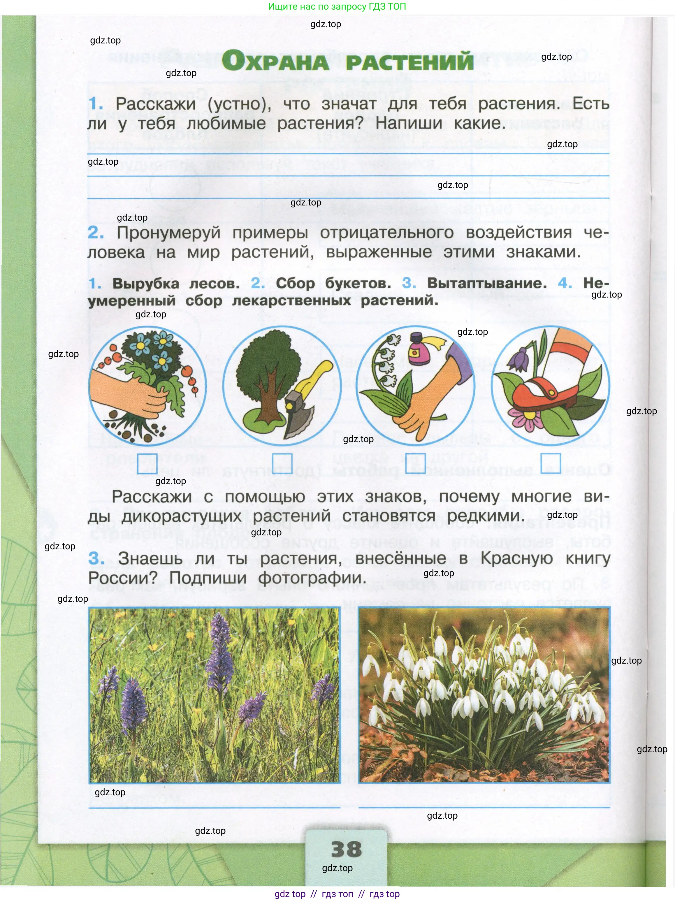 Окружающий мир, 3 класс рабочая тетрадь, автор: Плешаков Андрей Анатольевич, издательство Просвещение, Москва, 2023, белого цвета, Часть 1, страница 38