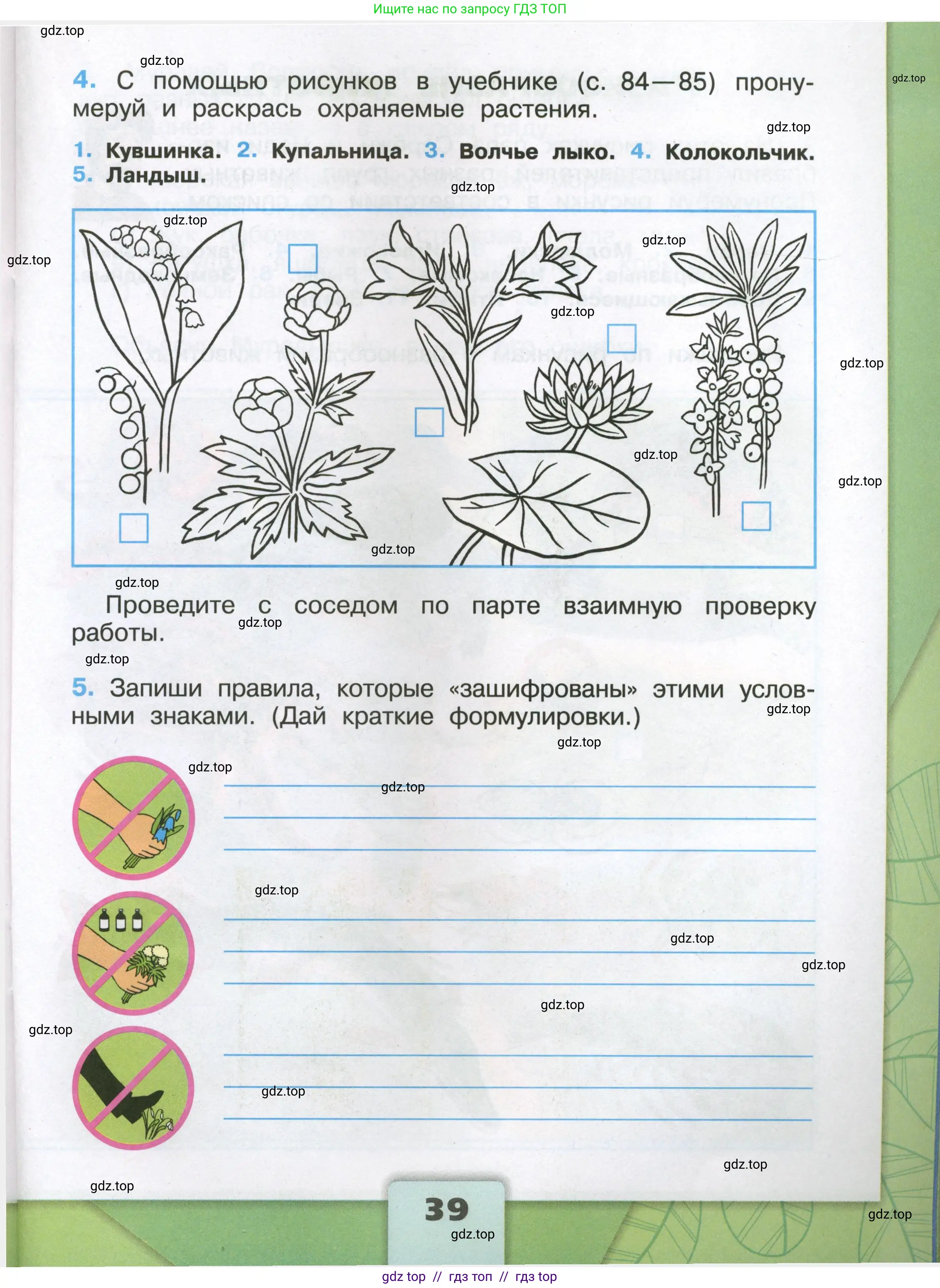 Окружающий мир, 3 класс рабочая тетрадь, автор: Плешаков Андрей Анатольевич, издательство Просвещение, Москва, 2023, белого цвета, страница 39
