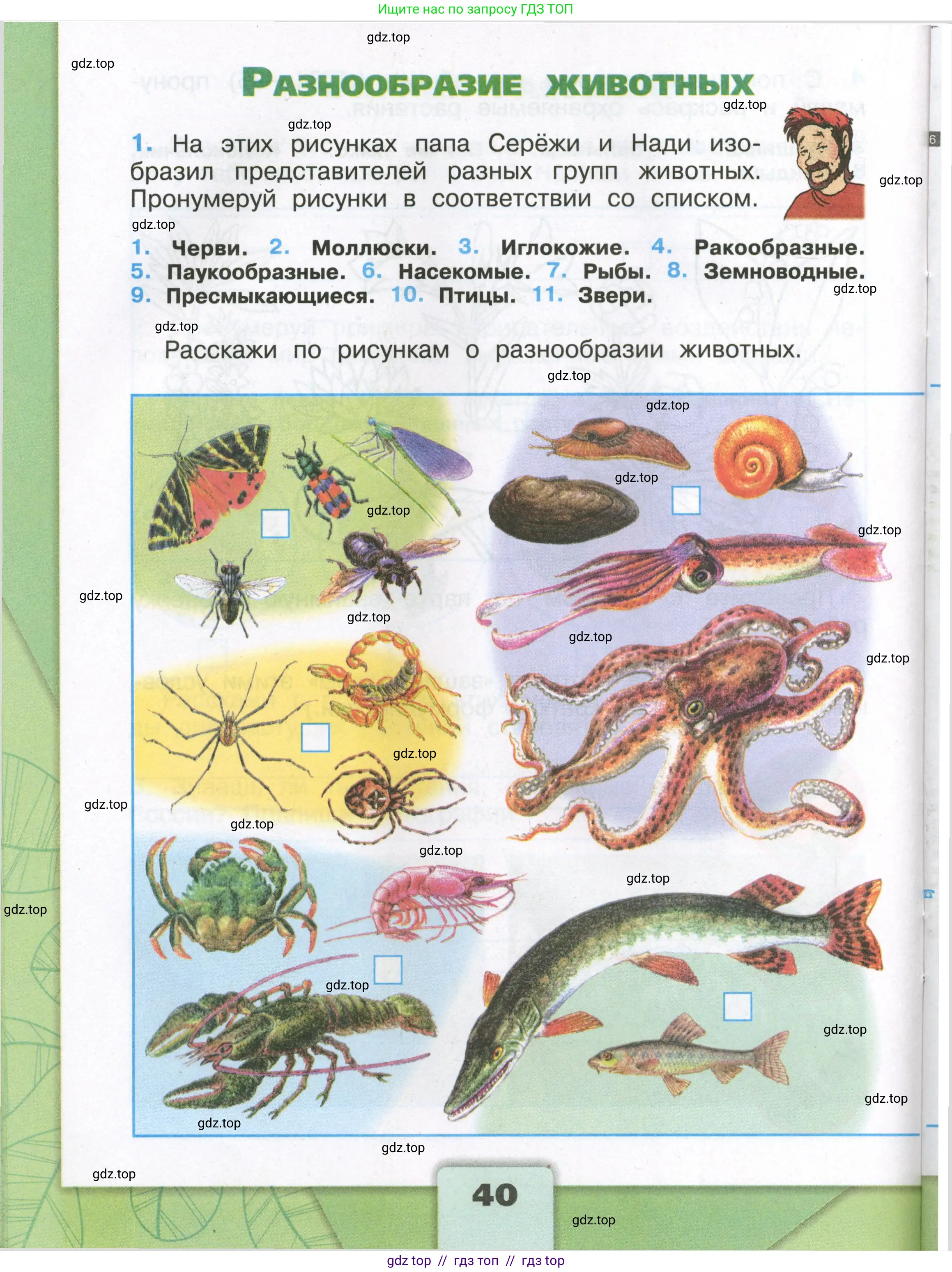 Окружающий мир, 3 класс рабочая тетрадь, автор: Плешаков Андрей Анатольевич, издательство Просвещение, Москва, 2023, белого цвета, Часть 1, страница 40