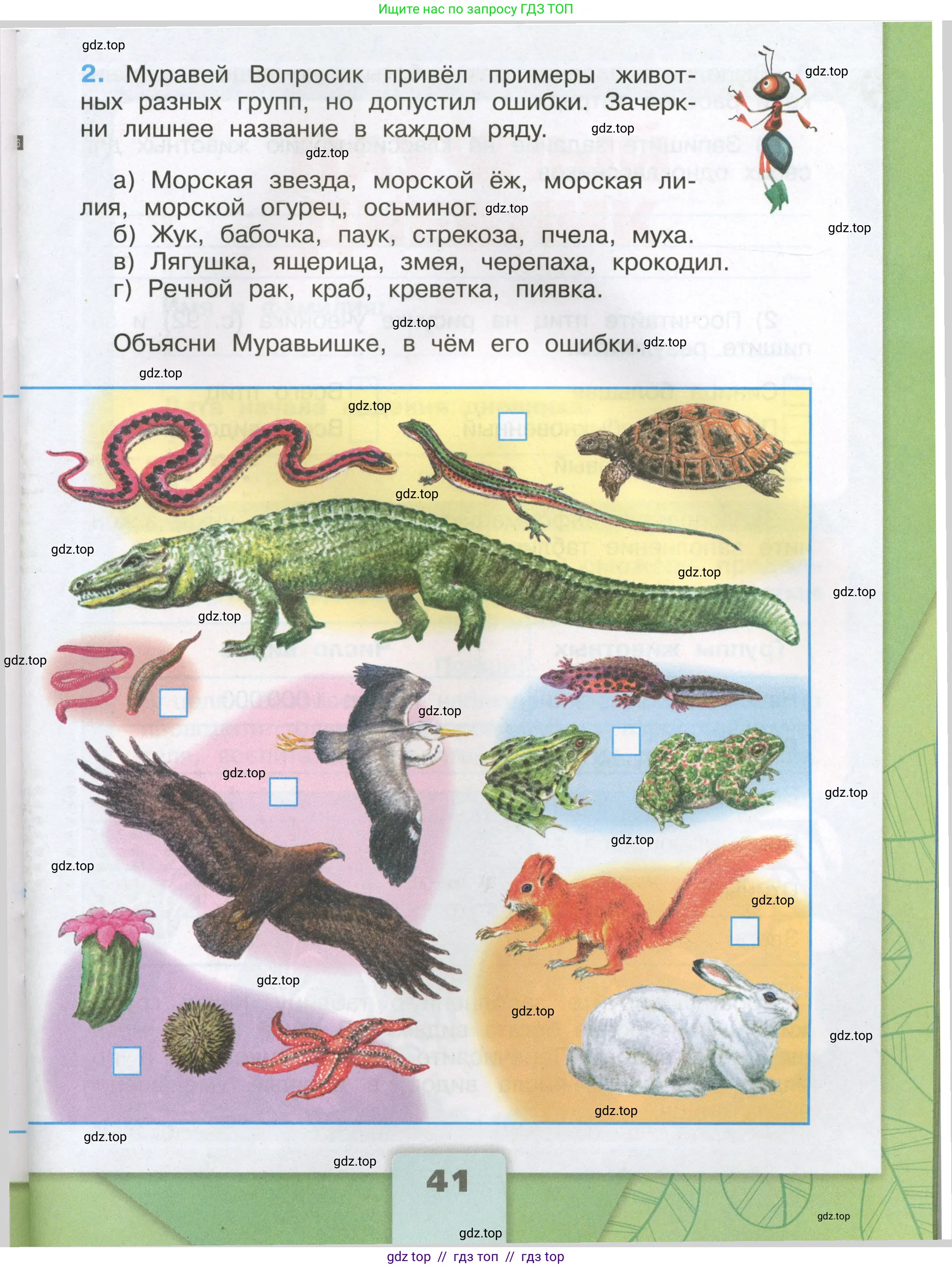Окружающий мир, 3 класс рабочая тетрадь, автор: Плешаков Андрей Анатольевич, издательство Просвещение, Москва, 2023, белого цвета, страница 41