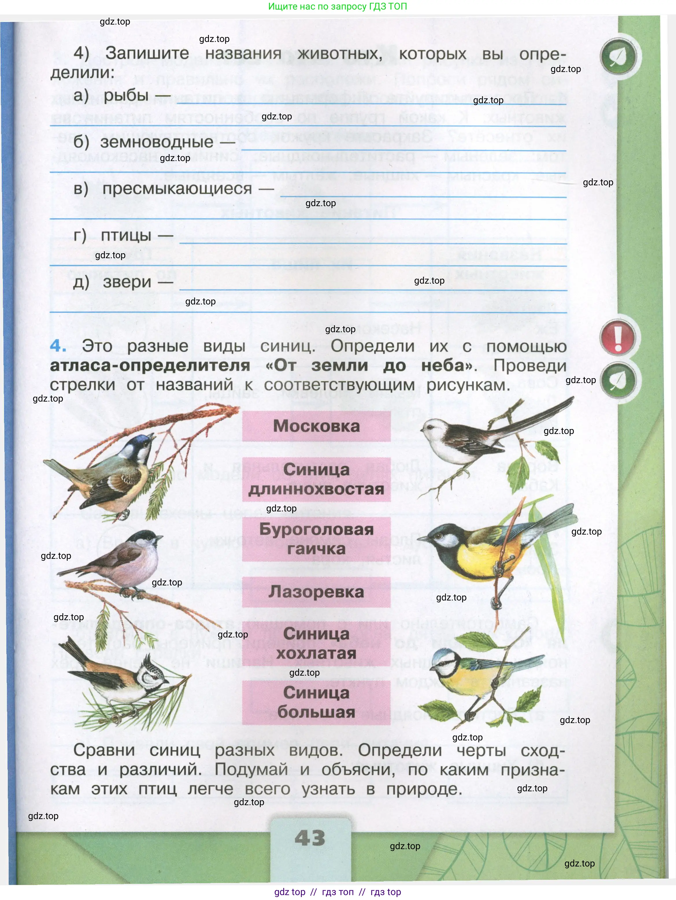 Окружающий мир, 3 класс рабочая тетрадь, автор: Плешаков Андрей Анатольевич, издательство Просвещение, Москва, 2023, белого цвета, страница 43