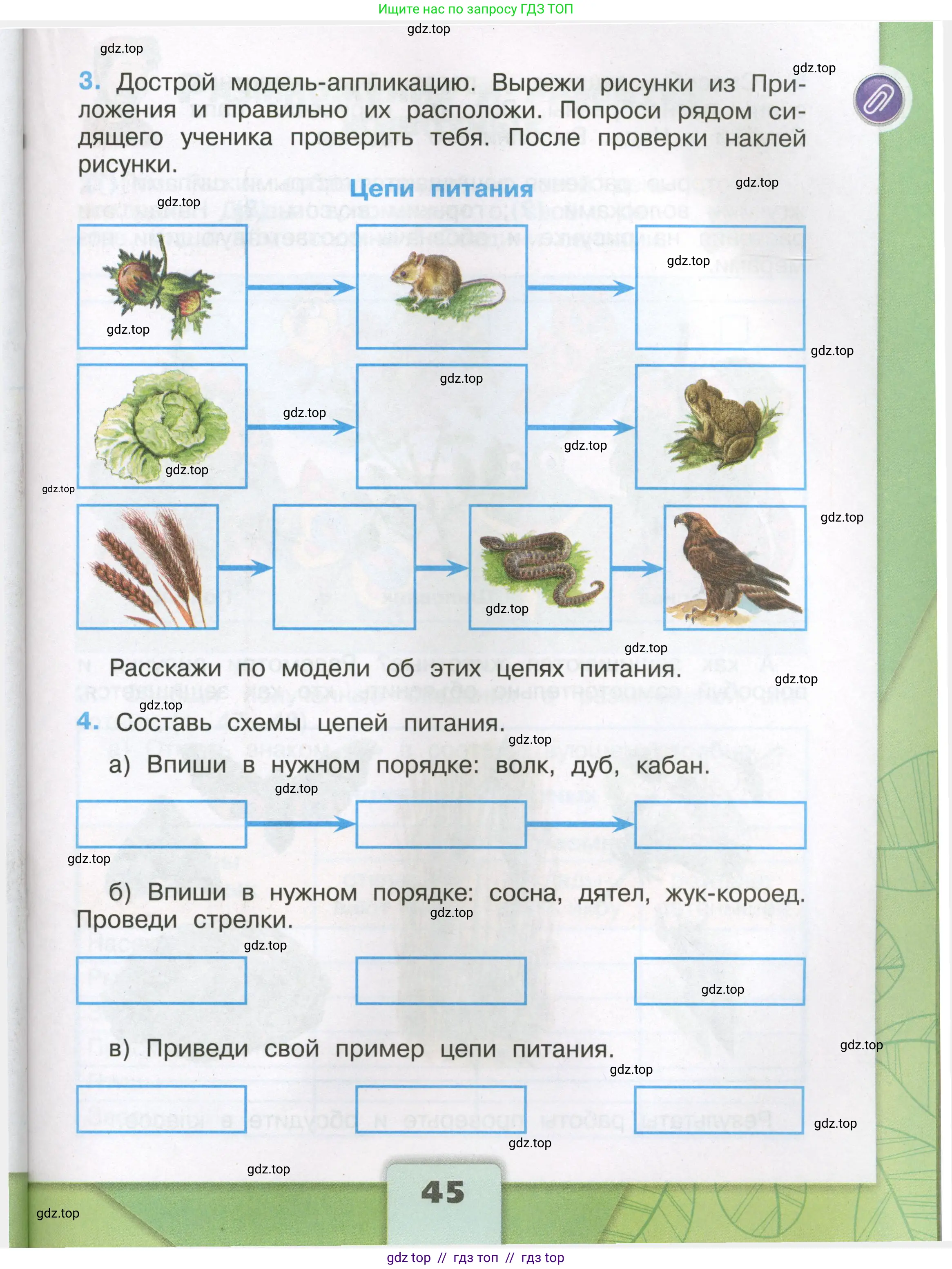 Окружающий мир, 3 класс рабочая тетрадь, автор: Плешаков Андрей Анатольевич, издательство Просвещение, Москва, 2023, белого цвета, страница 45
