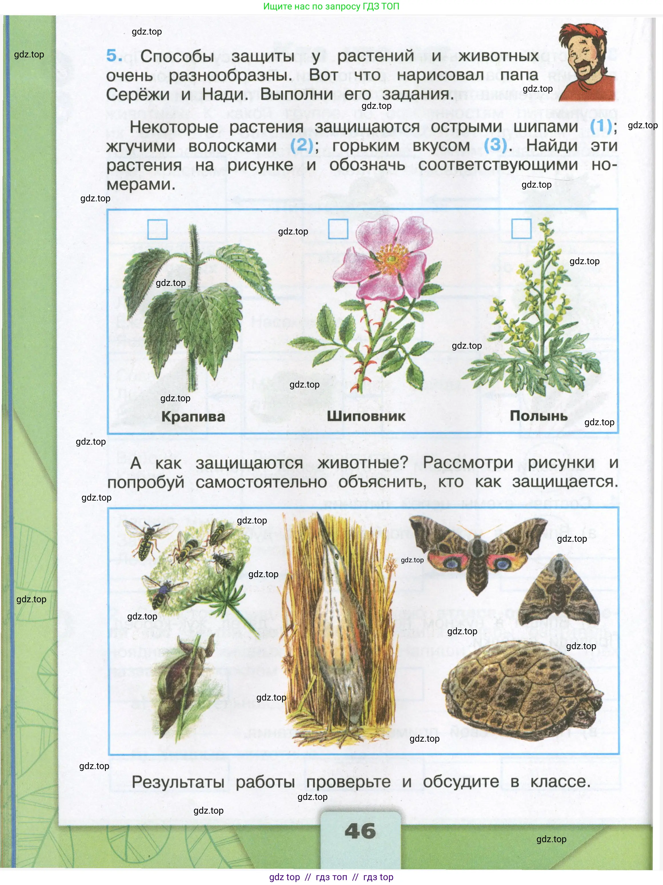 Окружающий мир, 3 класс рабочая тетрадь, автор: Плешаков Андрей Анатольевич, издательство Просвещение, Москва, 2023, белого цвета, страница 46