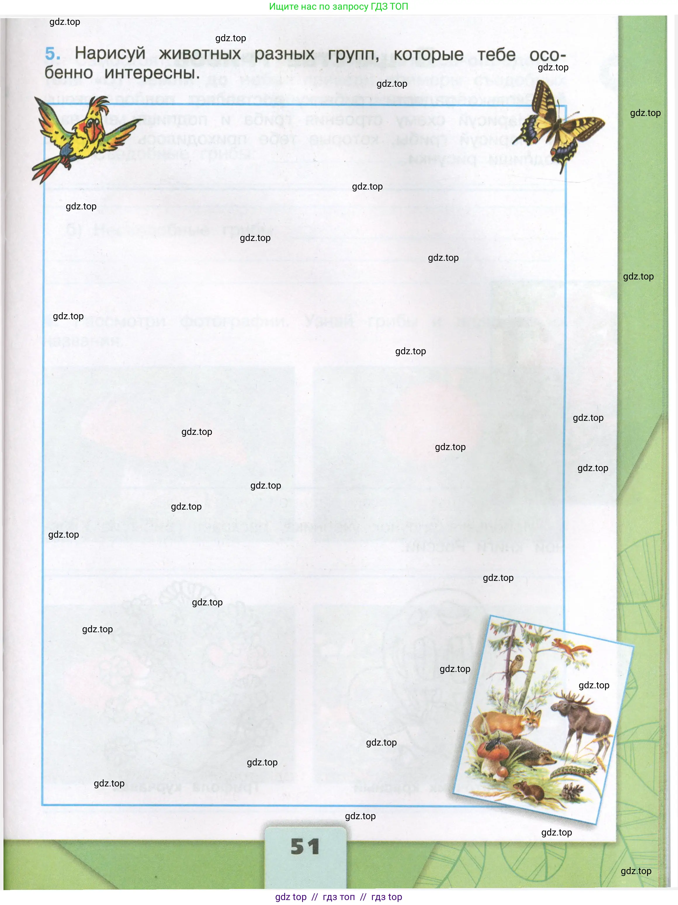 Окружающий мир, 3 класс рабочая тетрадь, автор: Плешаков Андрей Анатольевич, издательство Просвещение, Москва, 2023, белого цвета, страница 51
