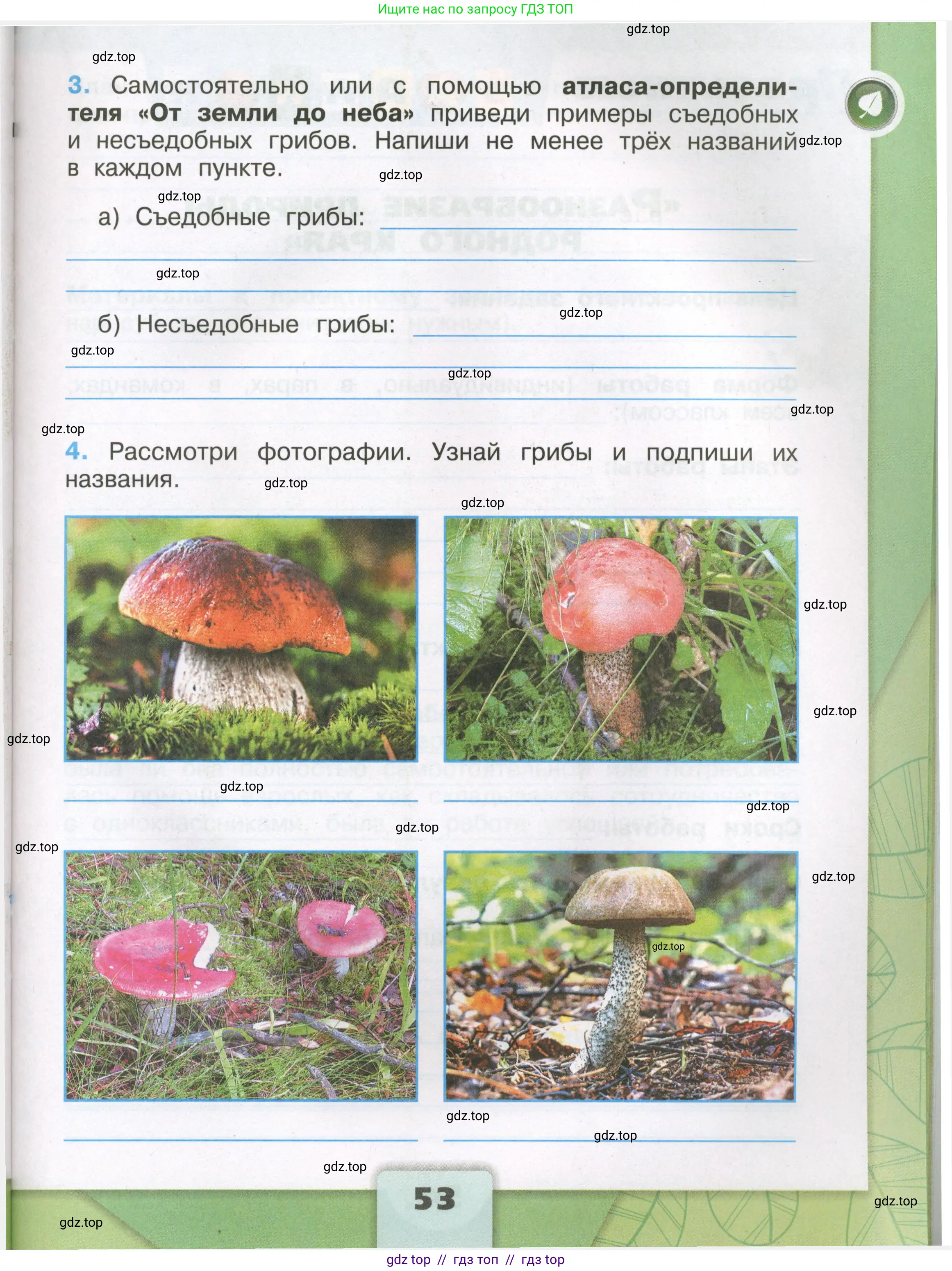 Окружающий мир, 3 класс рабочая тетрадь, автор: Плешаков Андрей Анатольевич, издательство Просвещение, Москва, 2023, белого цвета, страница 53