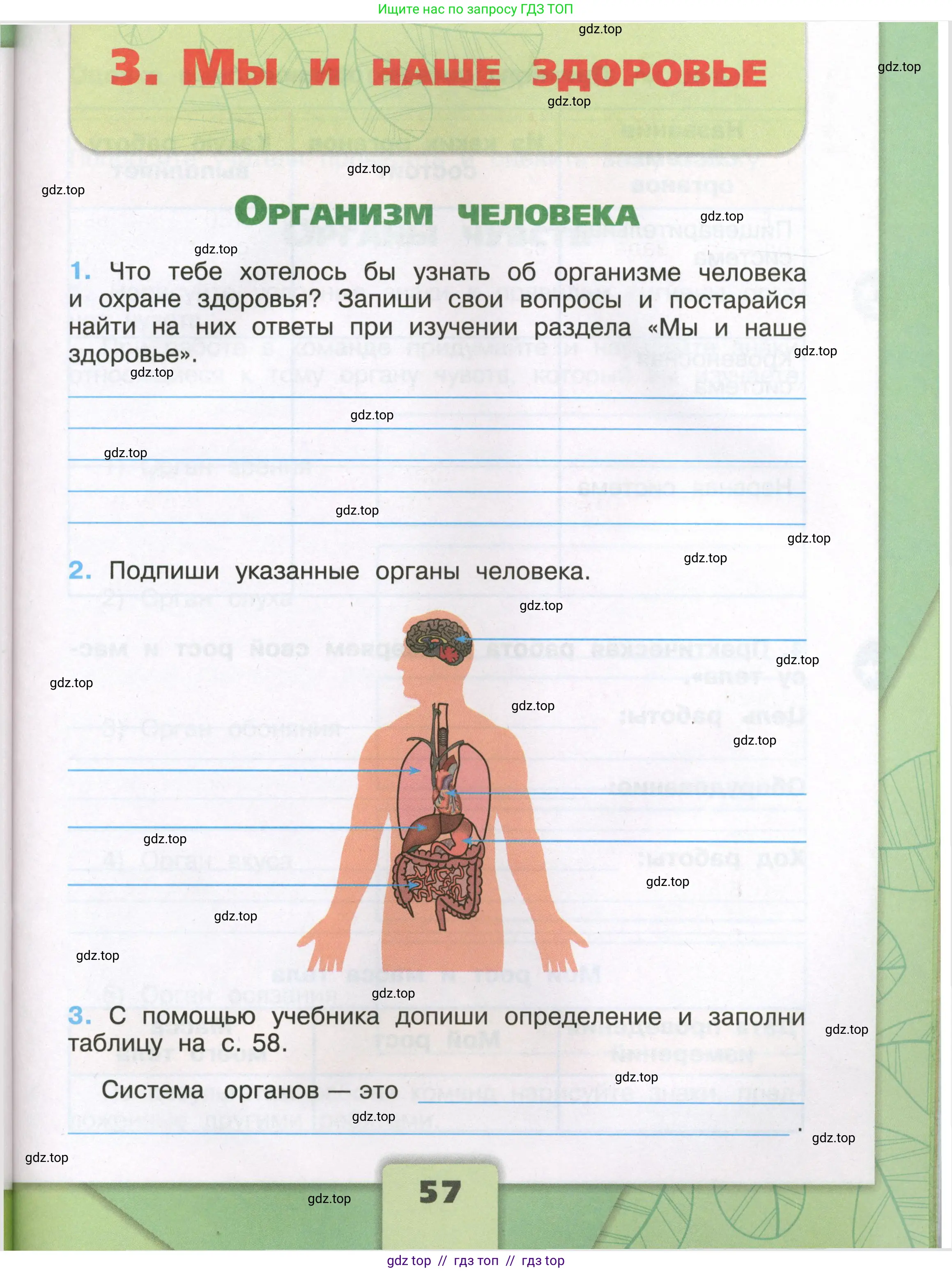 Окружающий мир, 3 класс рабочая тетрадь, автор: Плешаков Андрей Анатольевич, издательство Просвещение, Москва, 2023, белого цвета, Часть 1, страница 57
